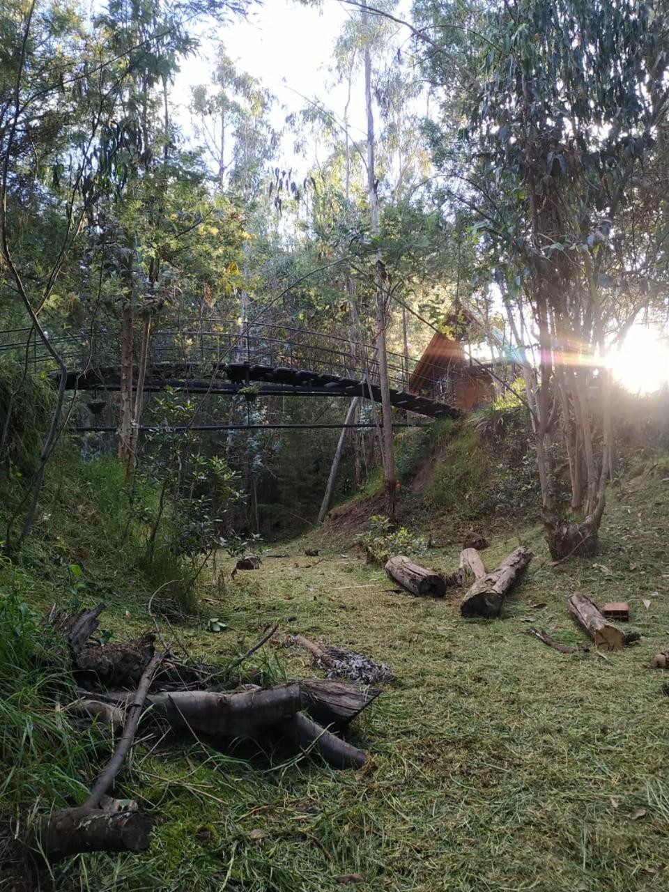 Glamping Los Ángeles