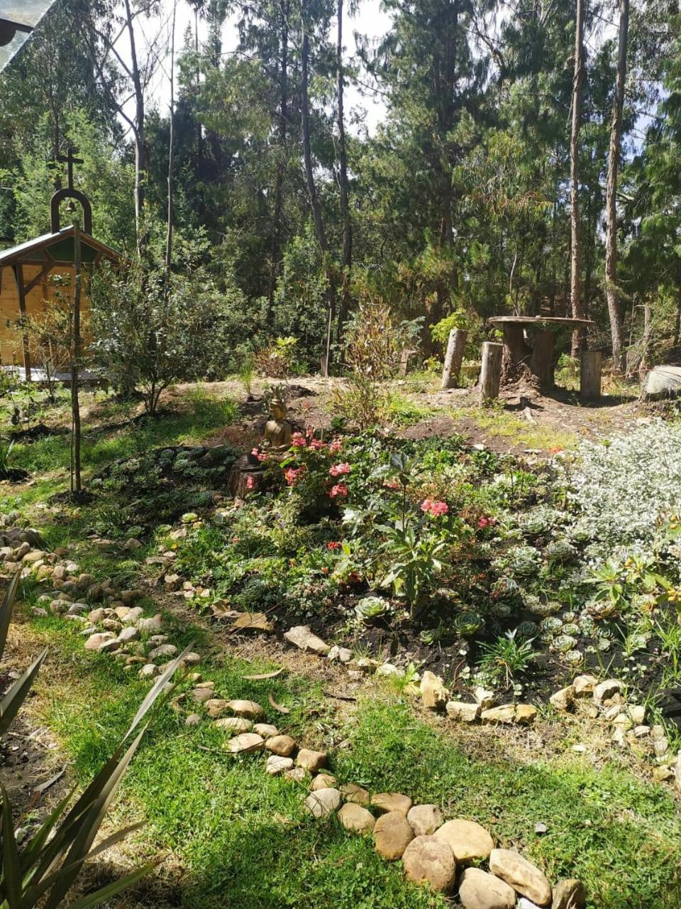 Glamping Los Ángeles