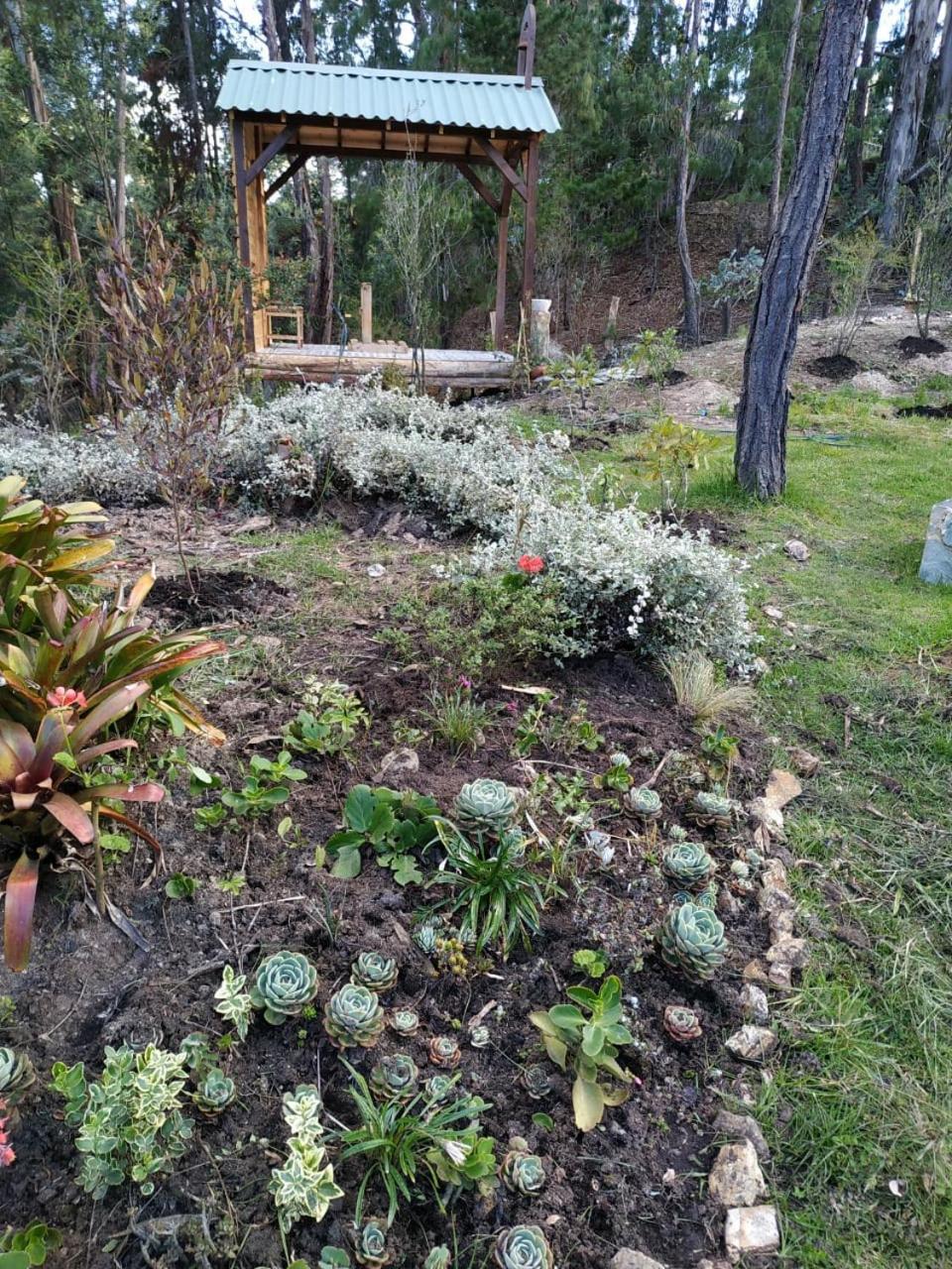 Glamping Los Ángeles