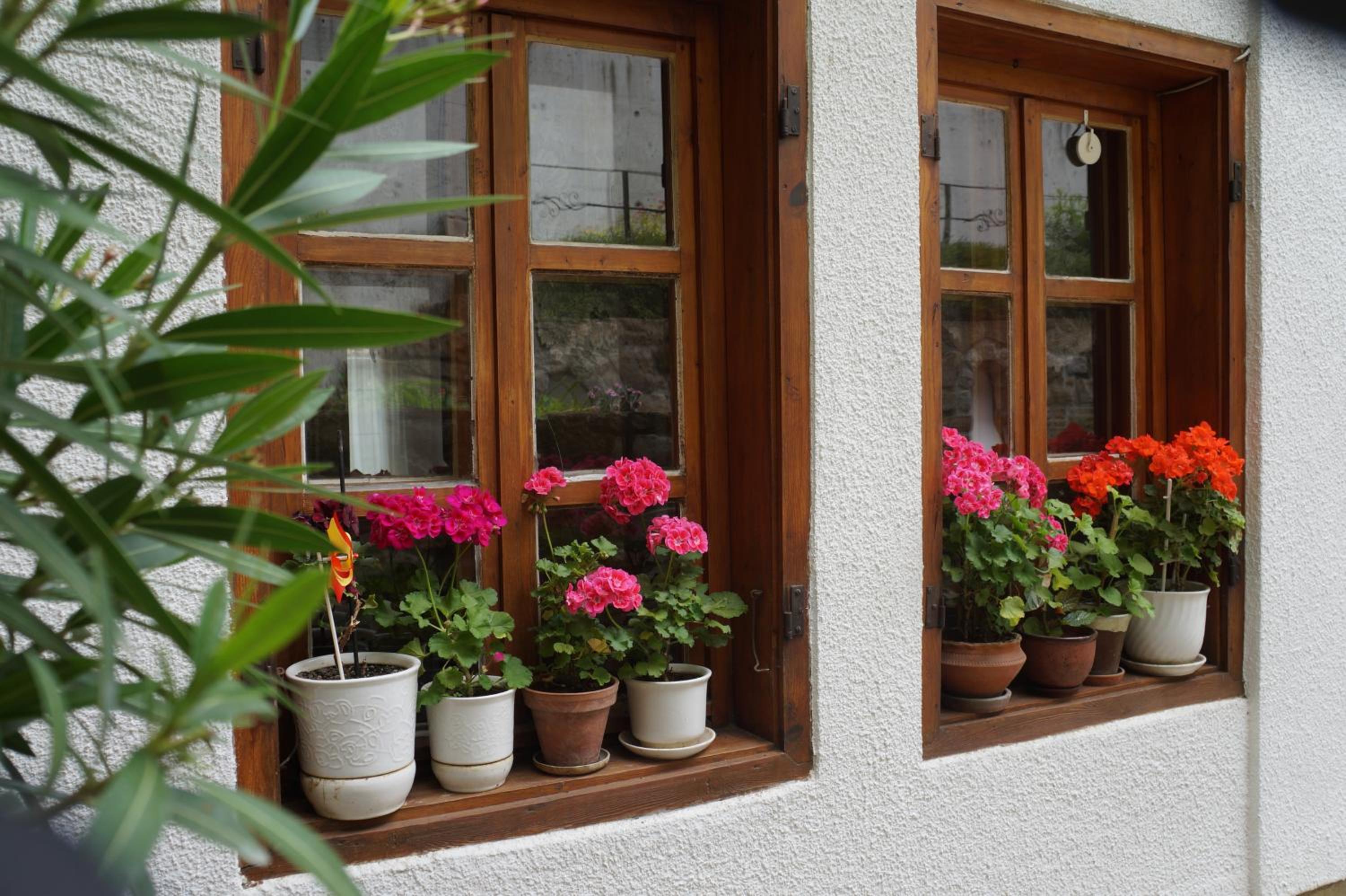 Home with the veranda (B&B) free parking
