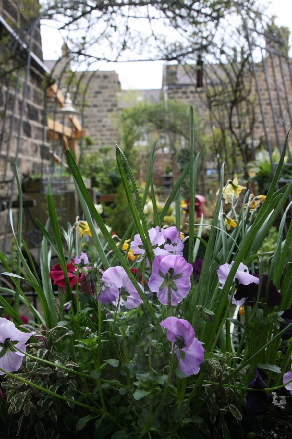 Alexandra Court view 2