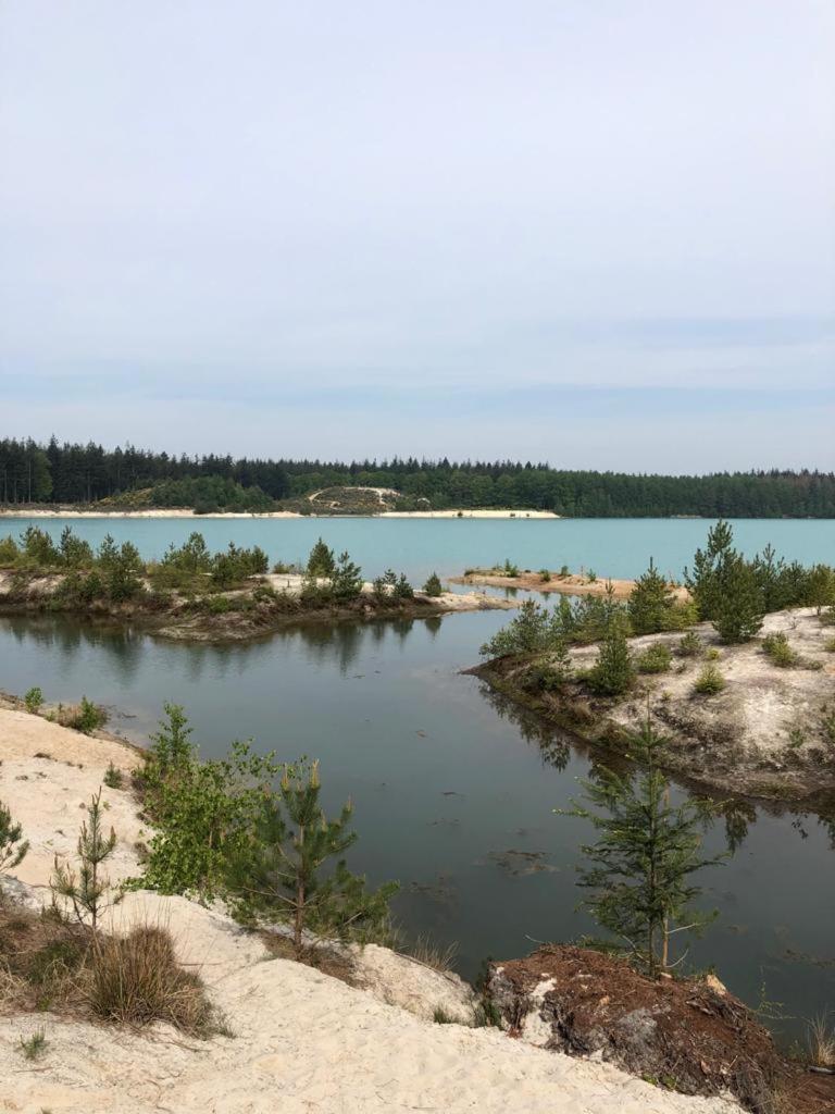 Photo 19