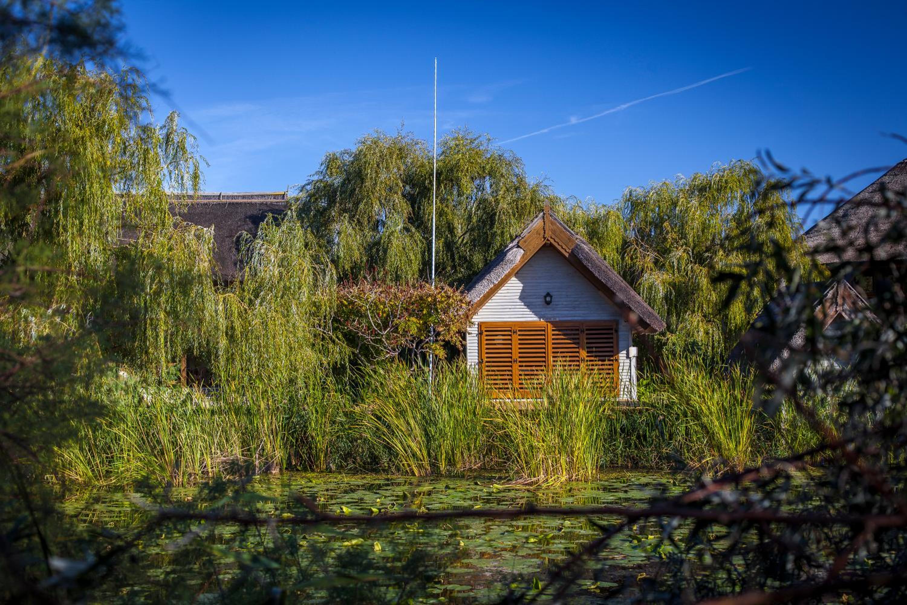 Green Village Resort