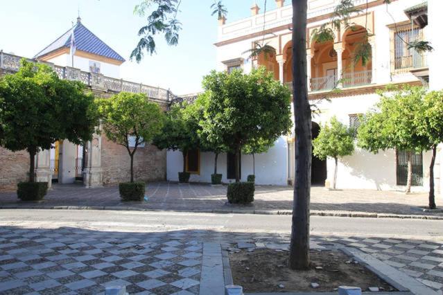 Photo 29