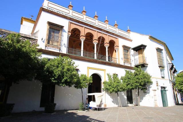 San esteban bajo view 3