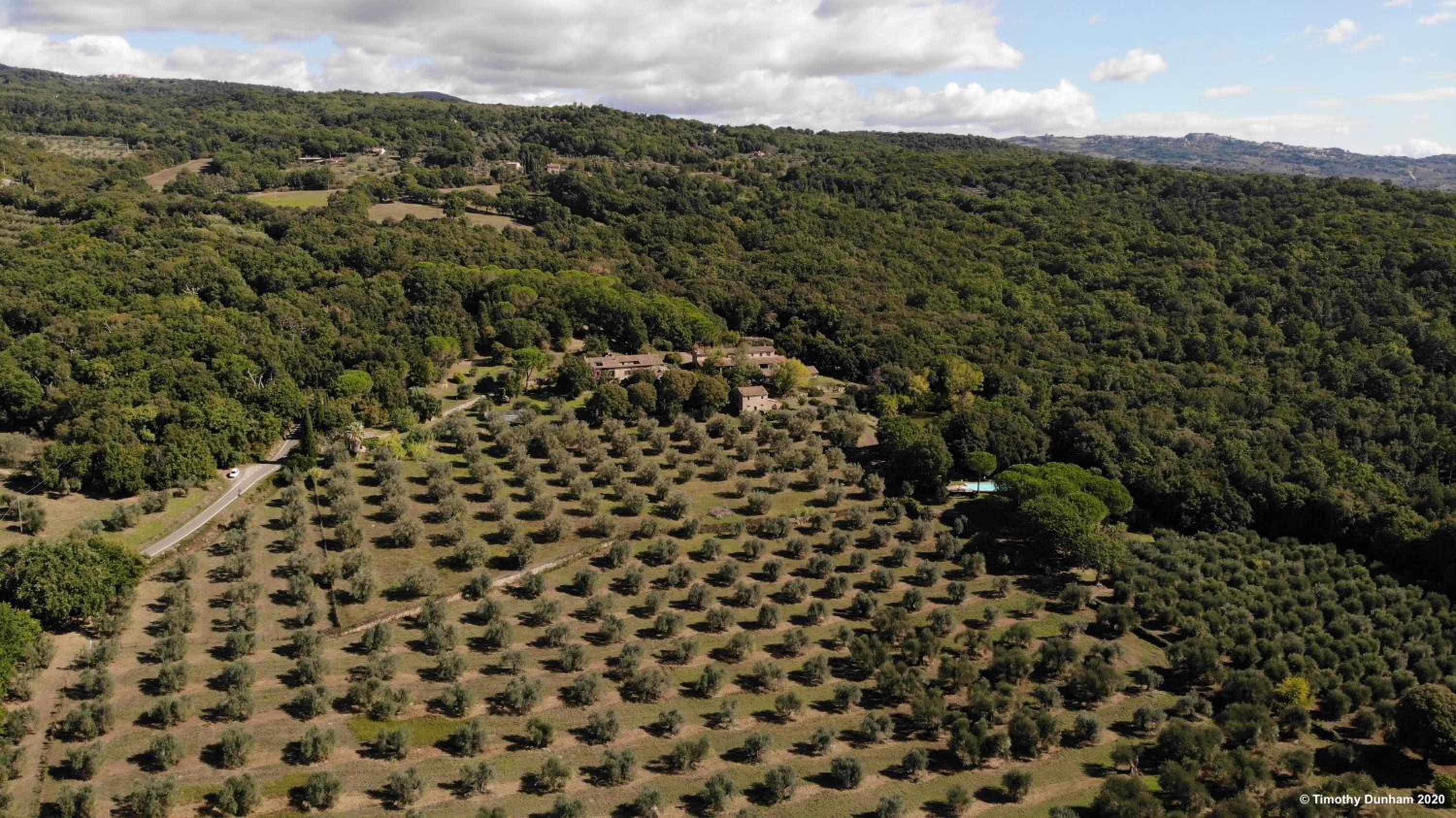 Pieve di Caminino Historic Farm