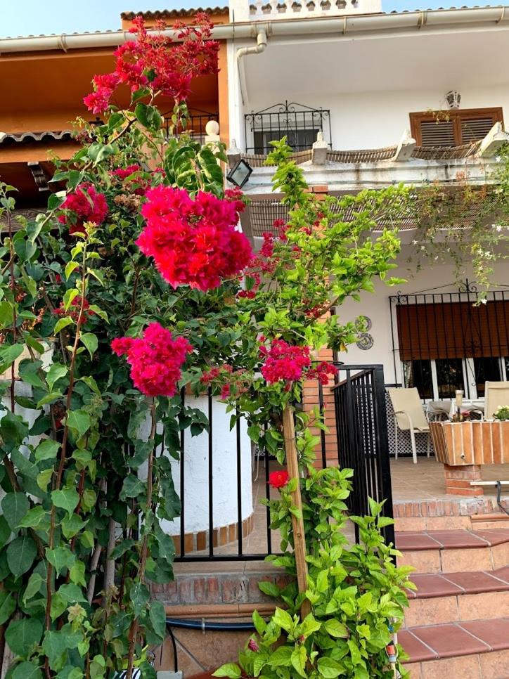 Antigua Estación de Campanillas