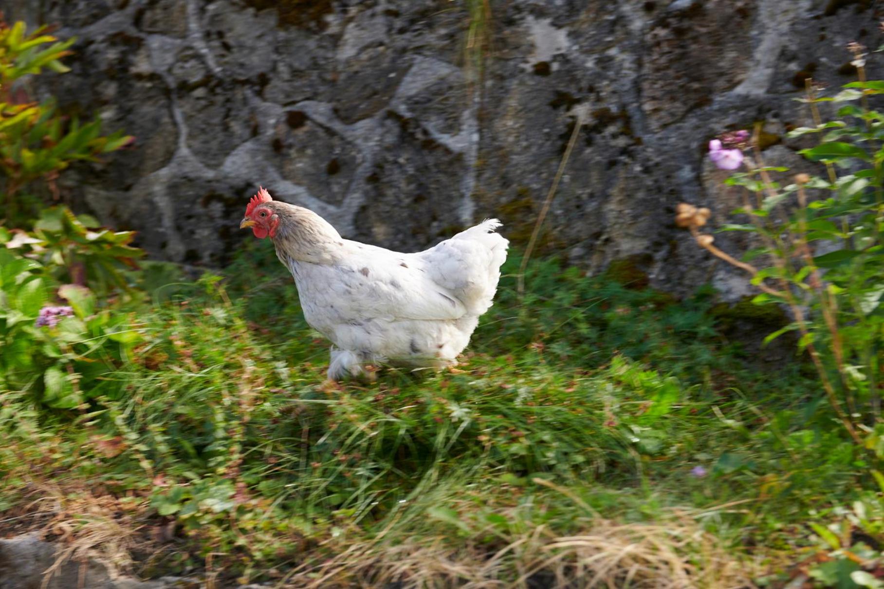 The Conscious Farmer Bed and Breakfast Sauerland view 3