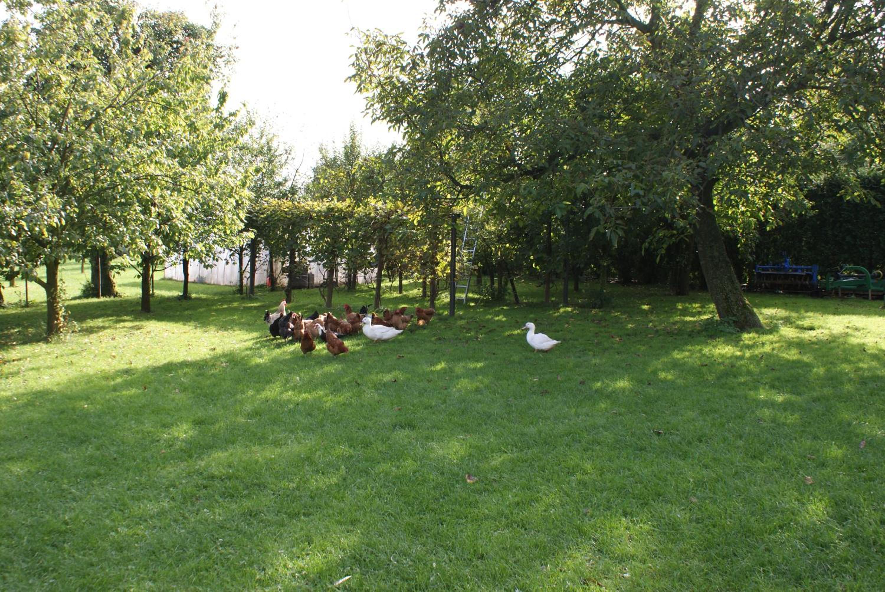 Photo 42