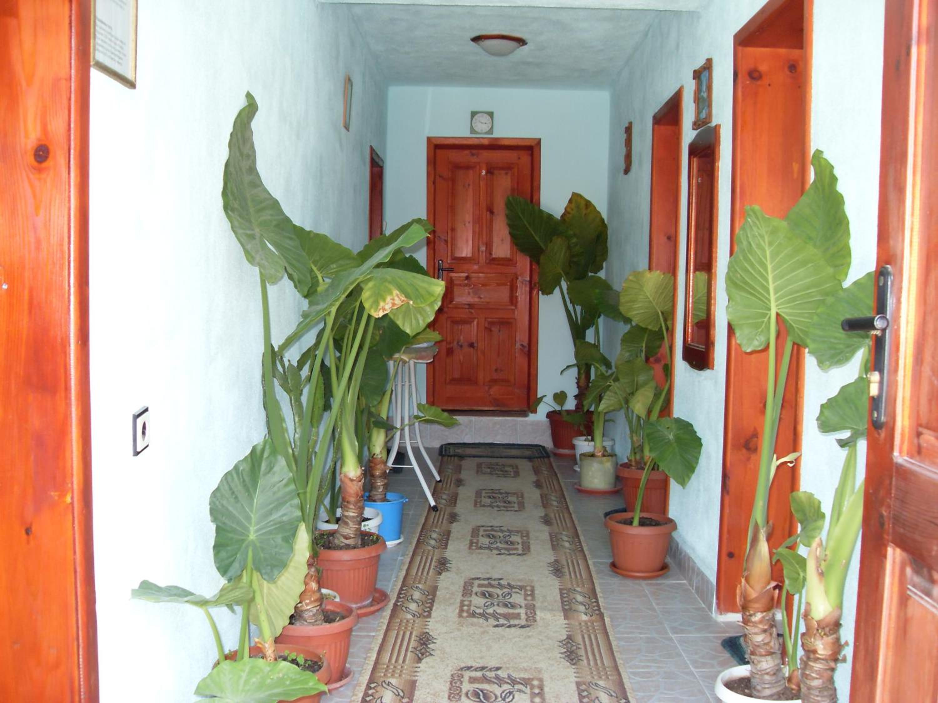 Guest House Rimski Most