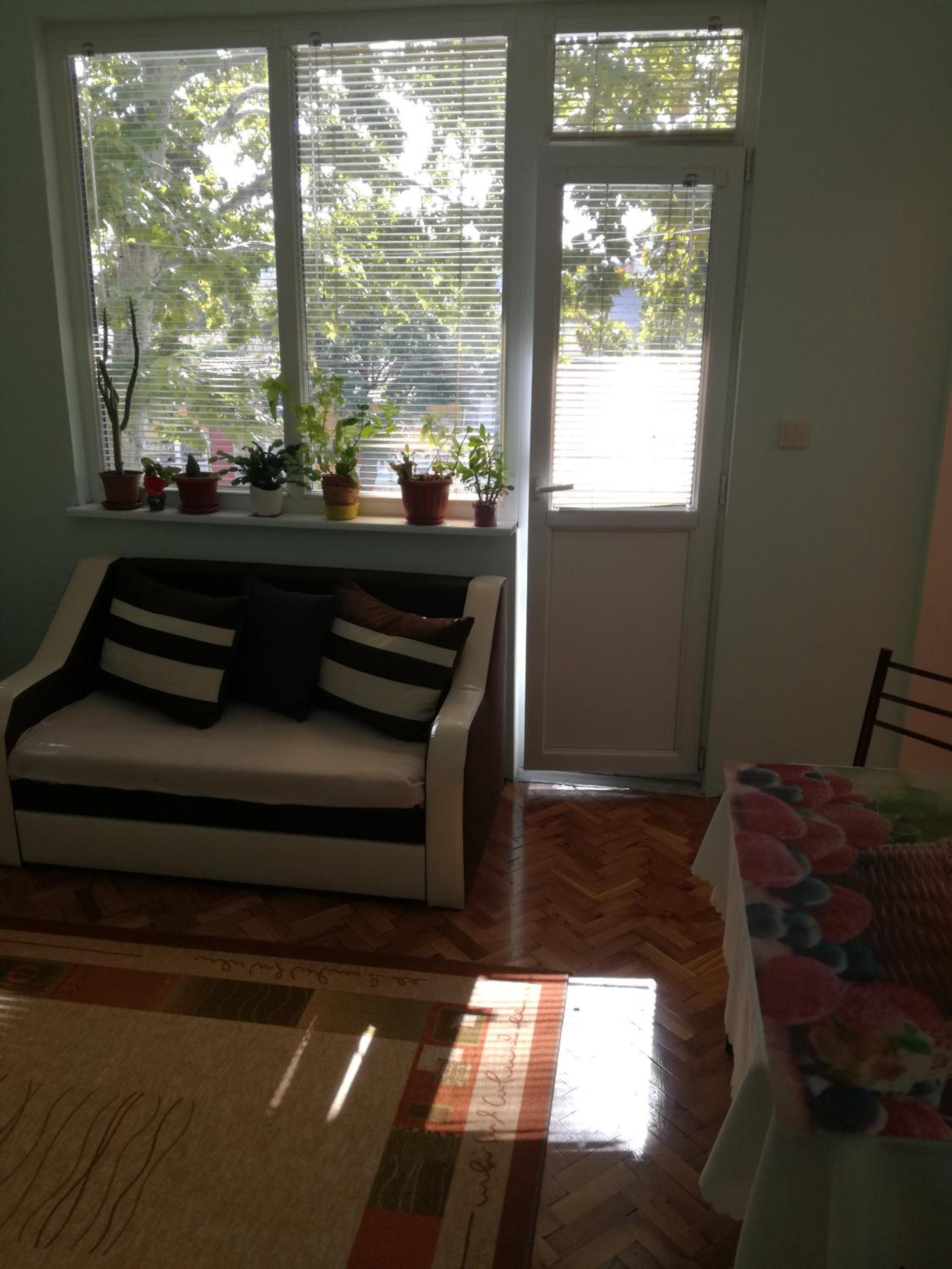 Central Apartment