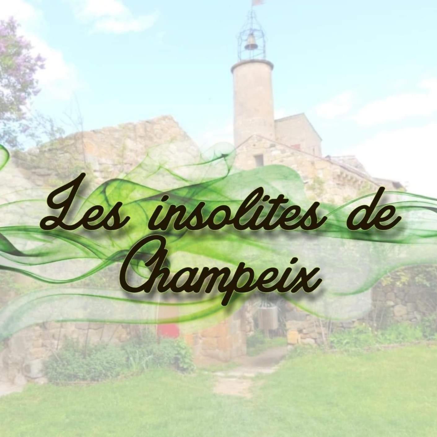 Les Insolites de Champeix view 2