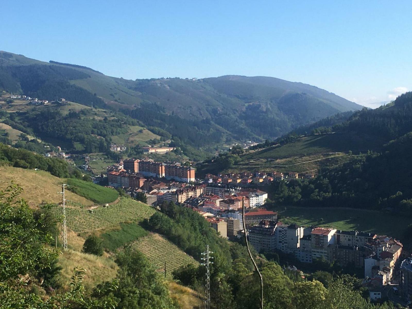Photo 29