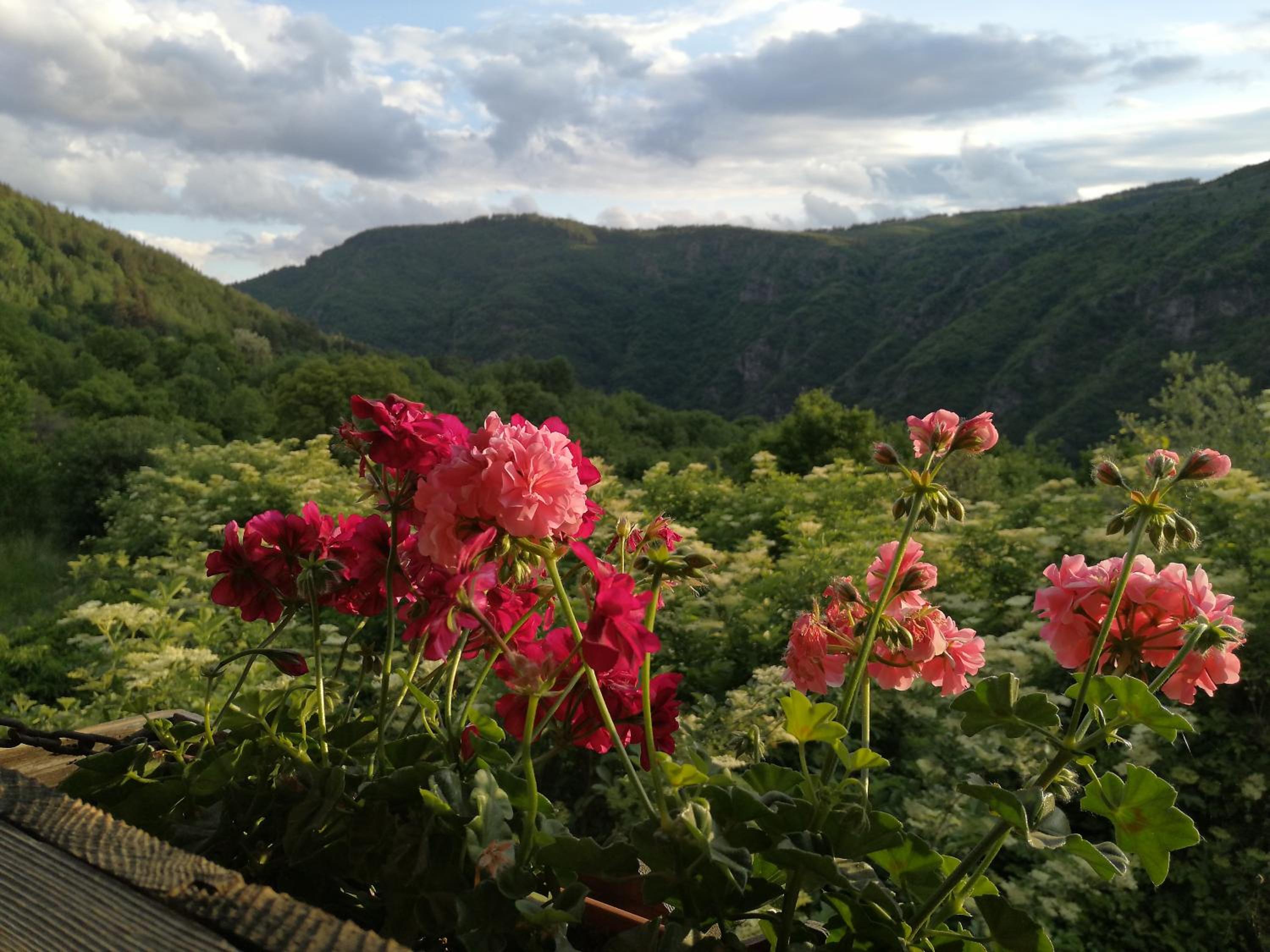 Къща за гости Кануш войвода