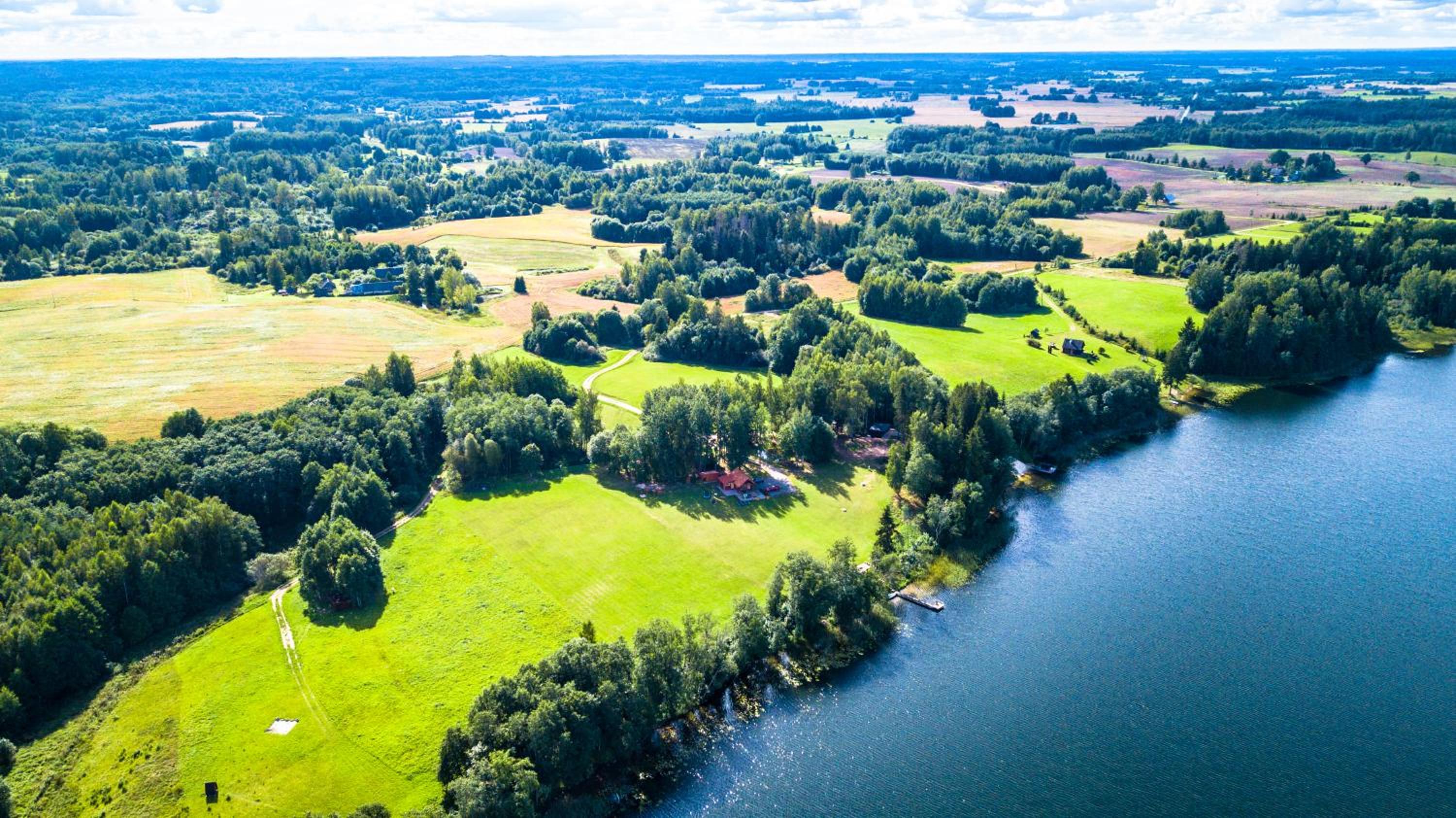 Järveoru