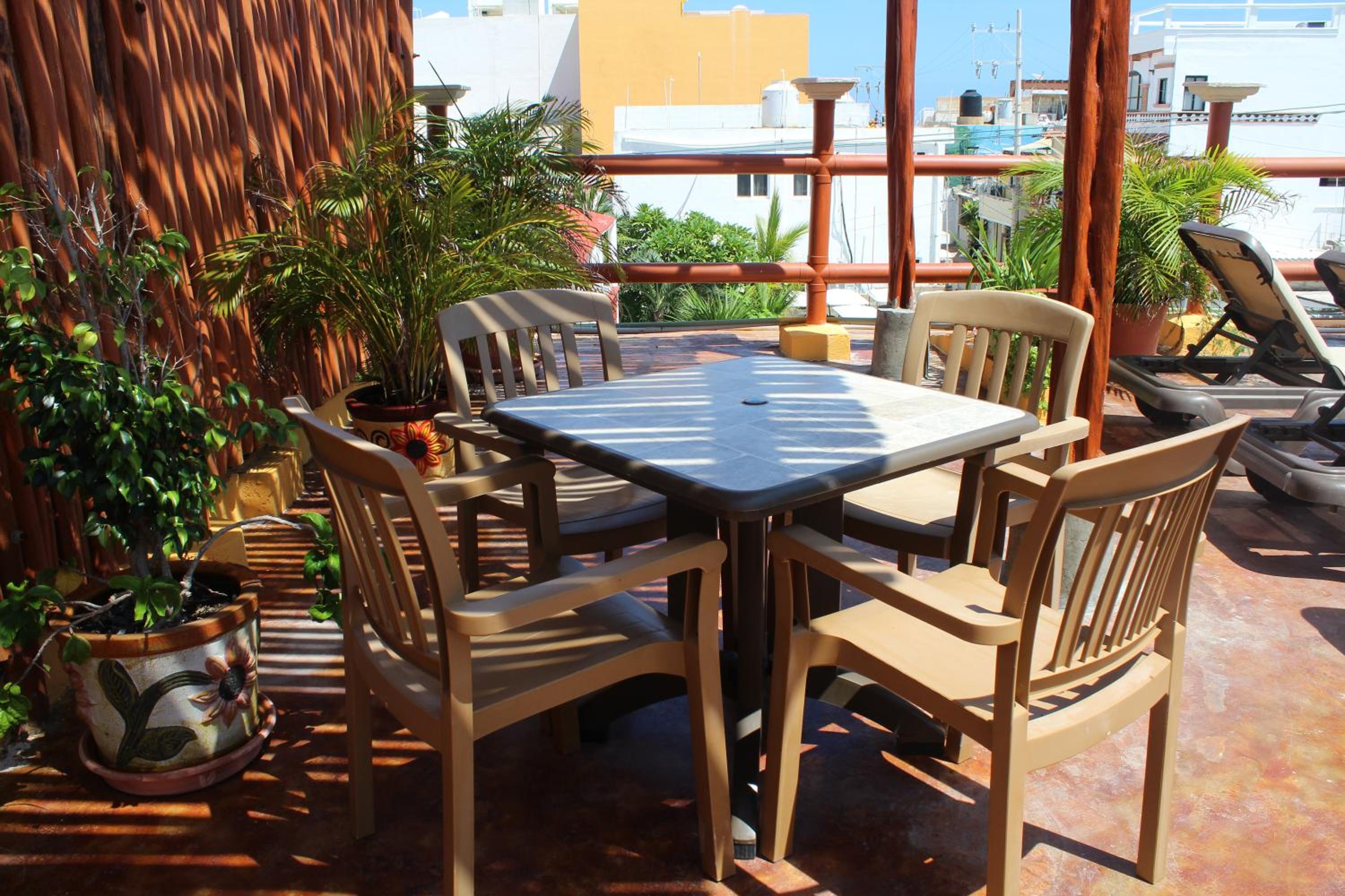 balance & terrace