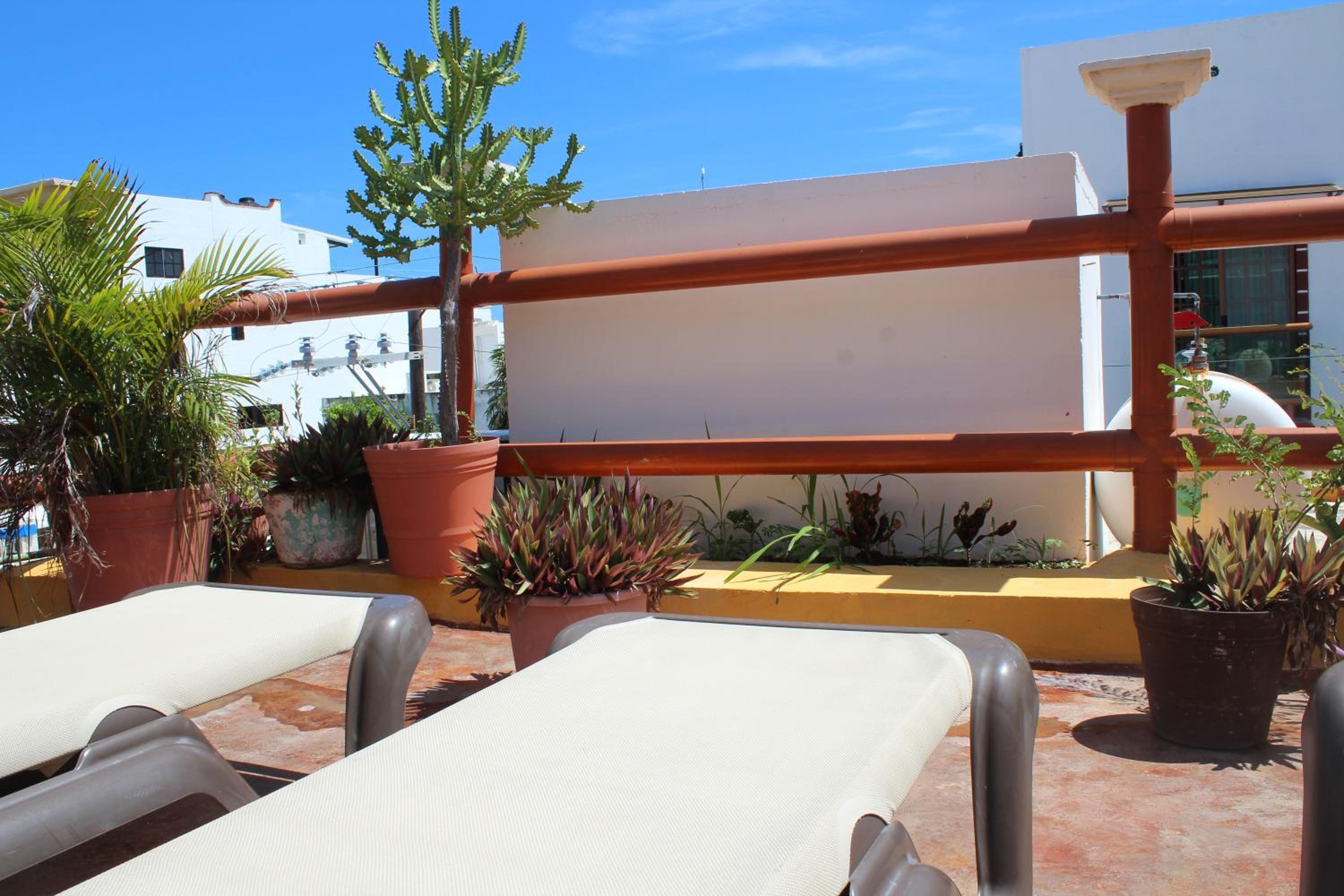 roof