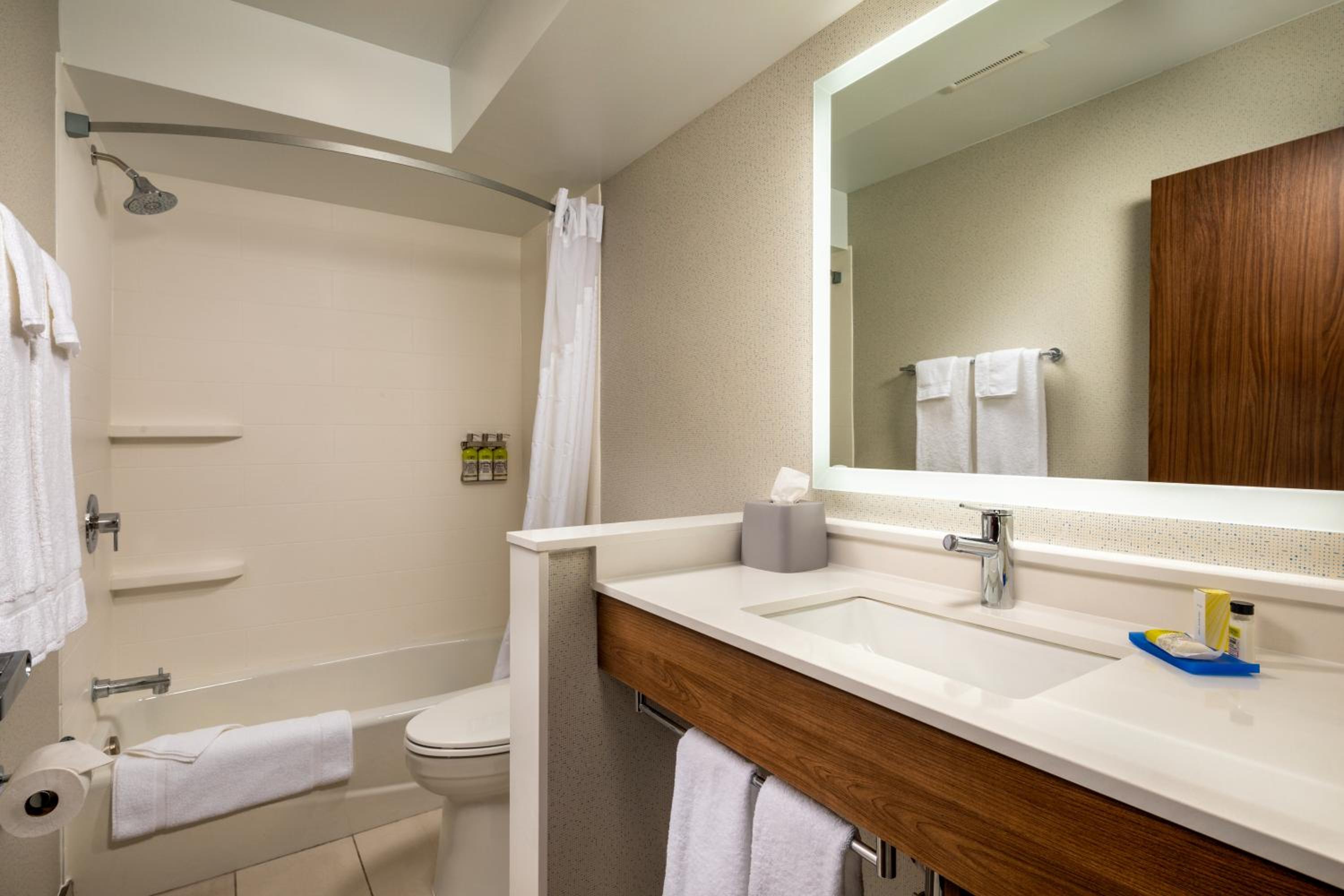 Holiday Inn Express Suites Chatsworth, an IHG Hotel - Property Image 38