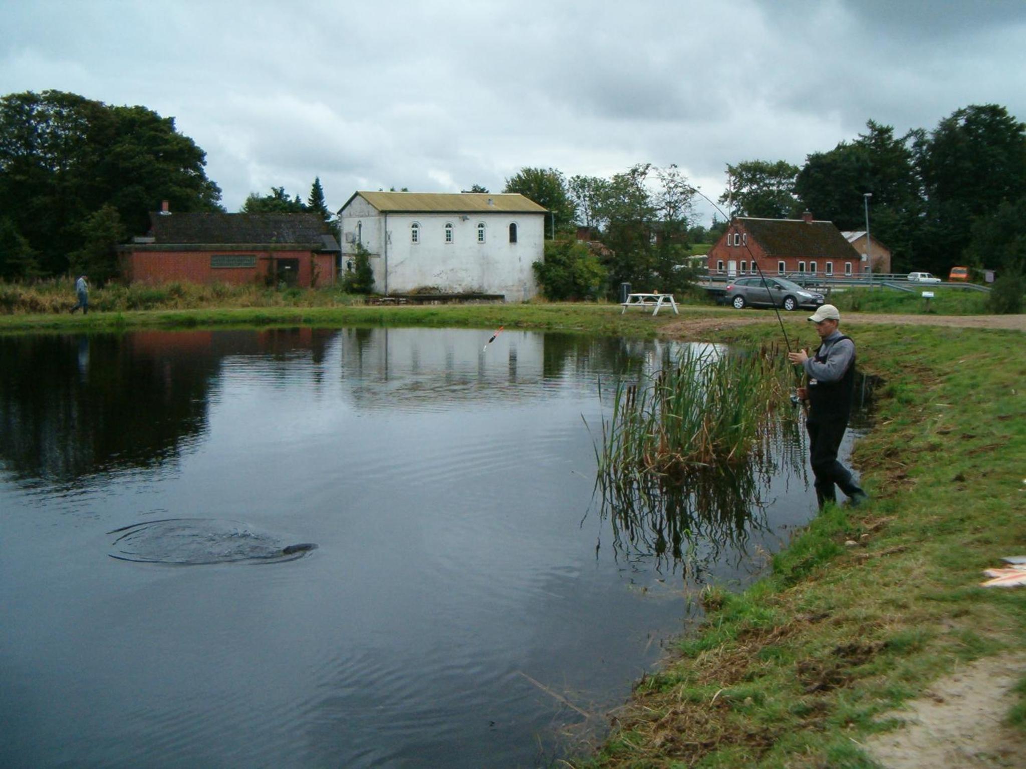 Photo 16