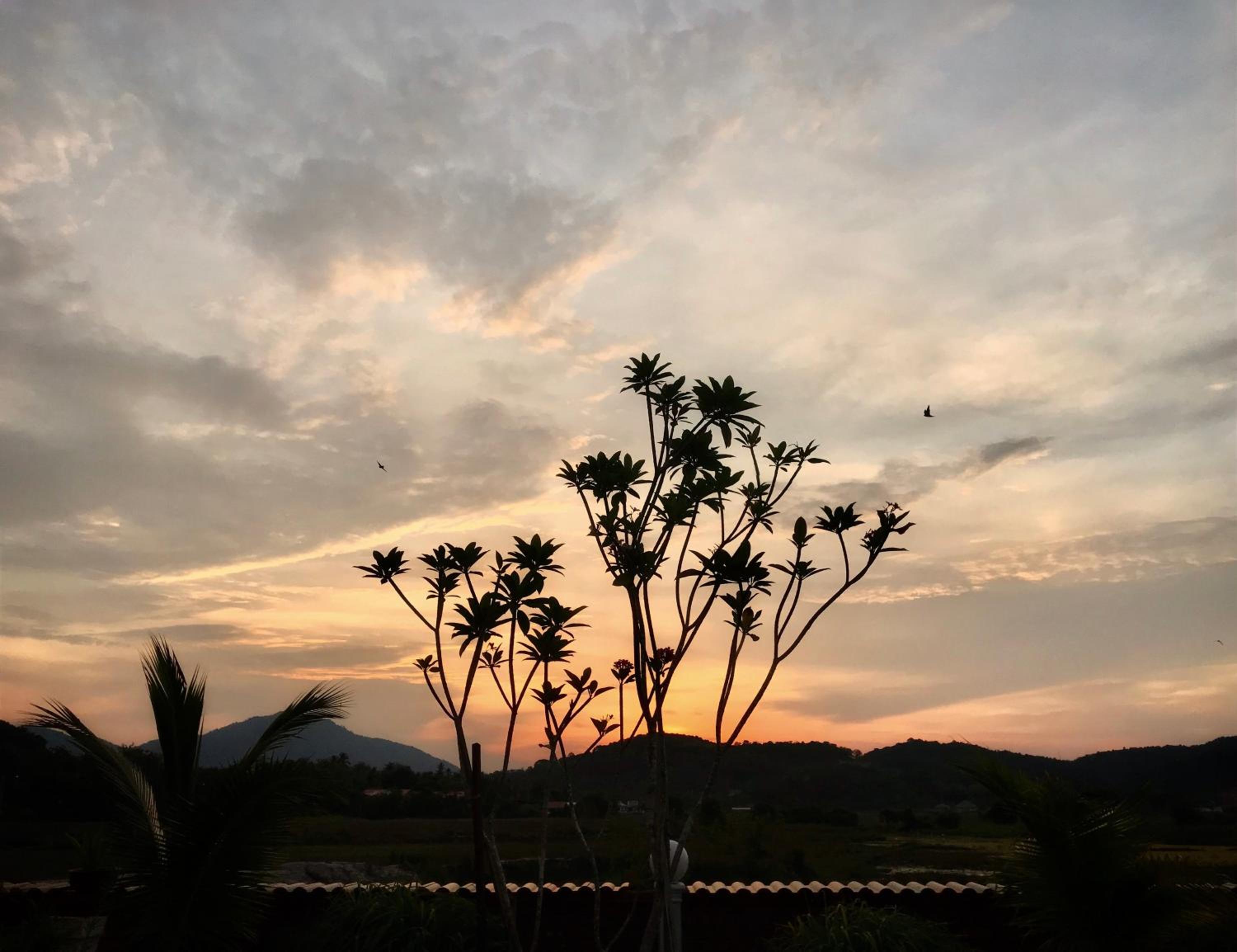 Adagaya Villa - Villa With Private Pool, Without Pool