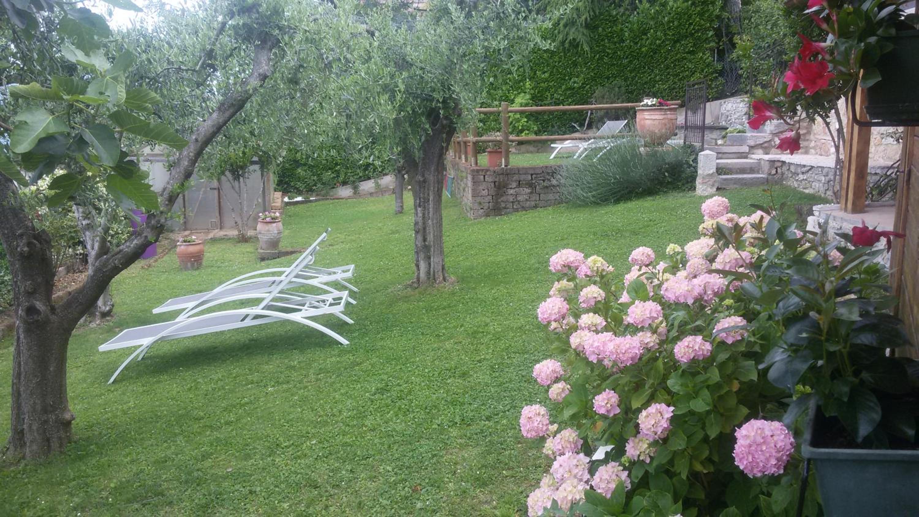 Photo 44