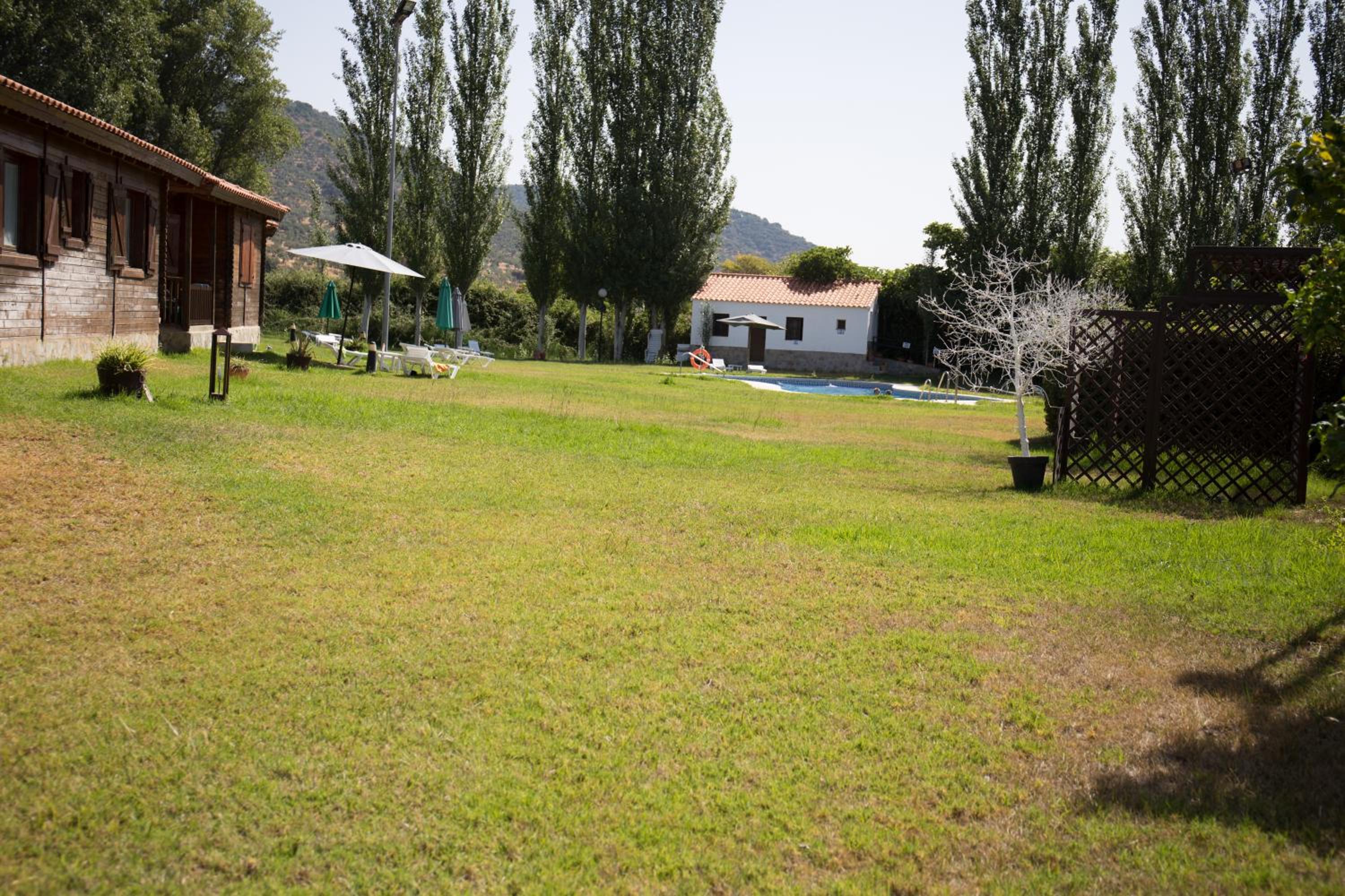 Photo 33