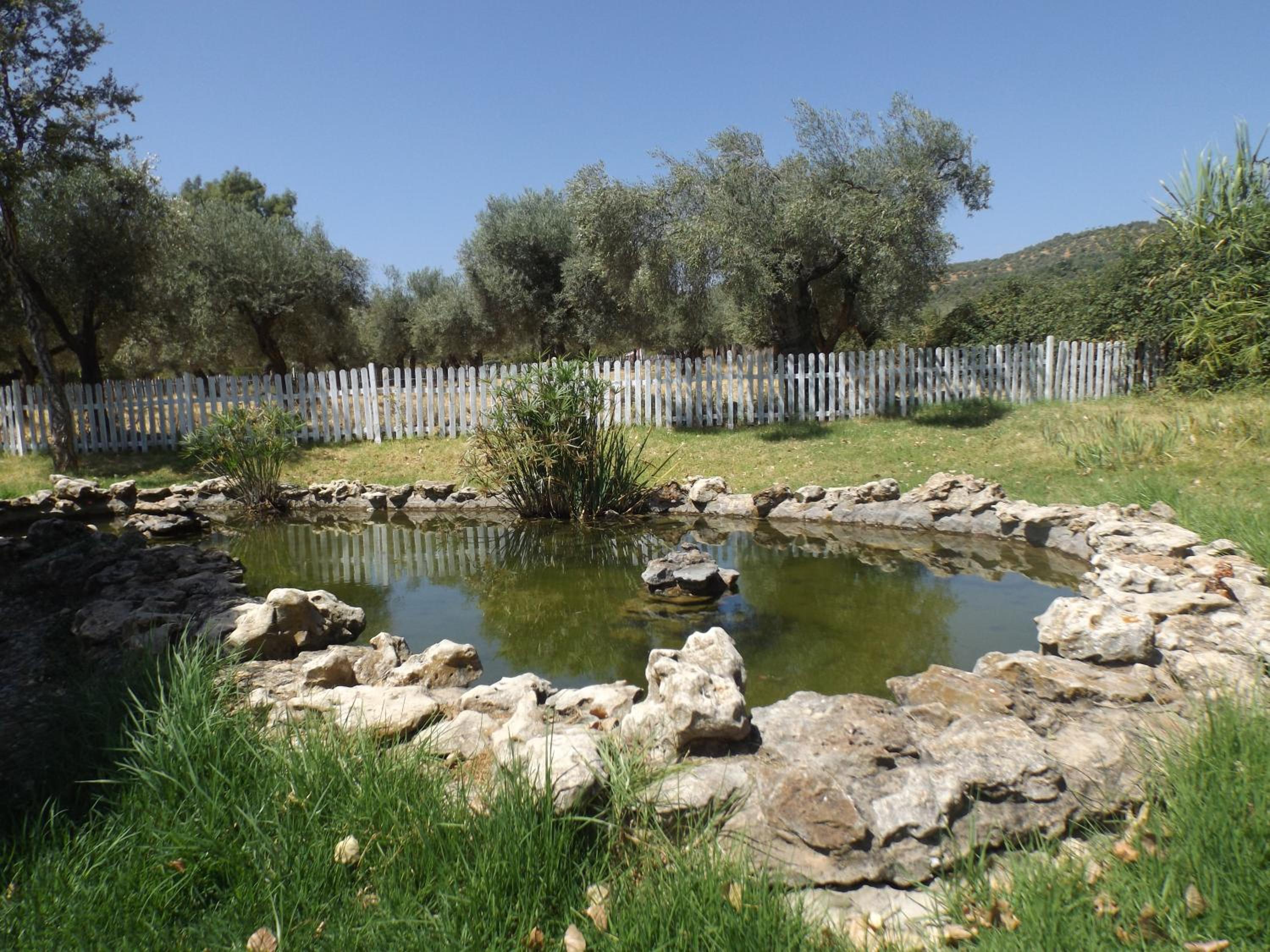 Photo 40