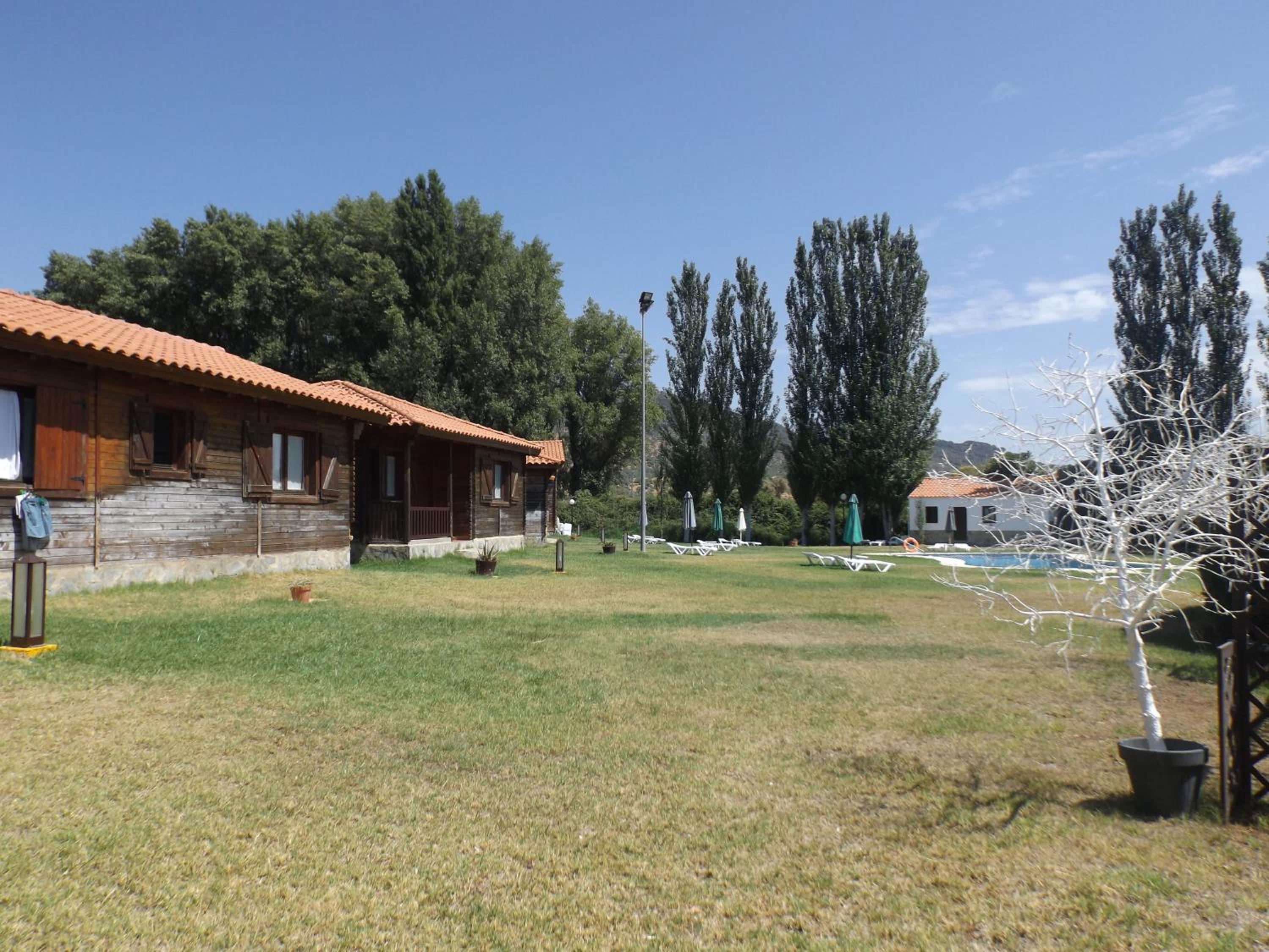 Photo 43