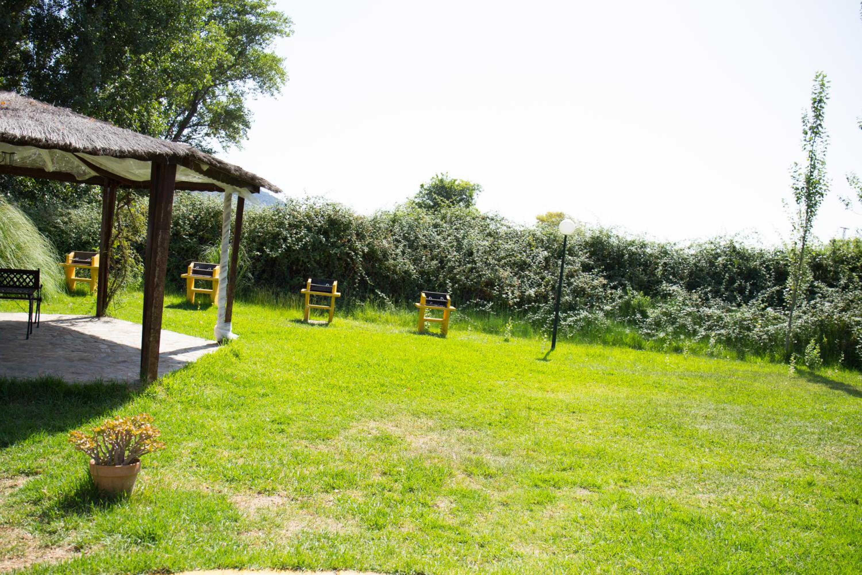 Photo 48