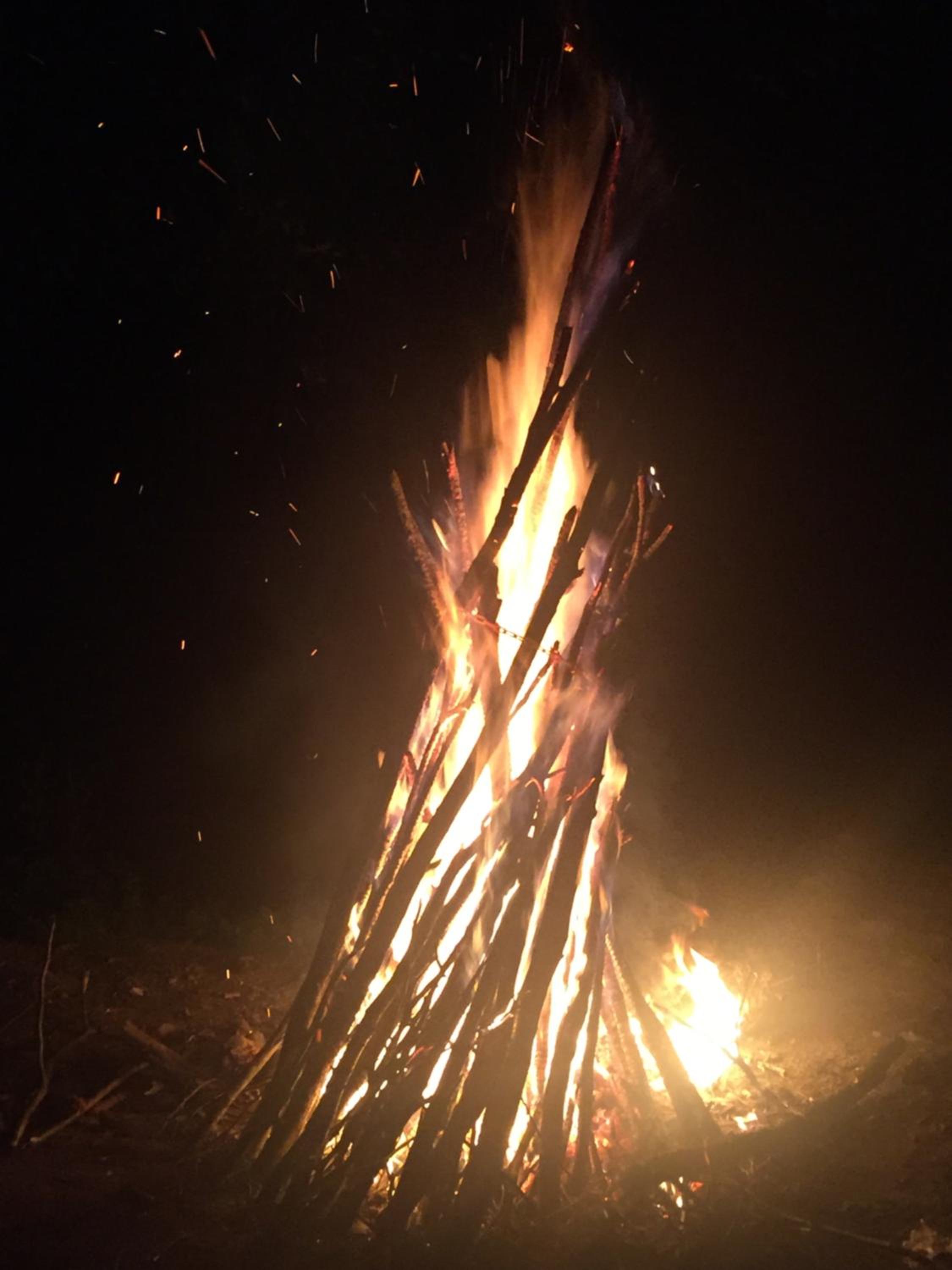 Photo 41