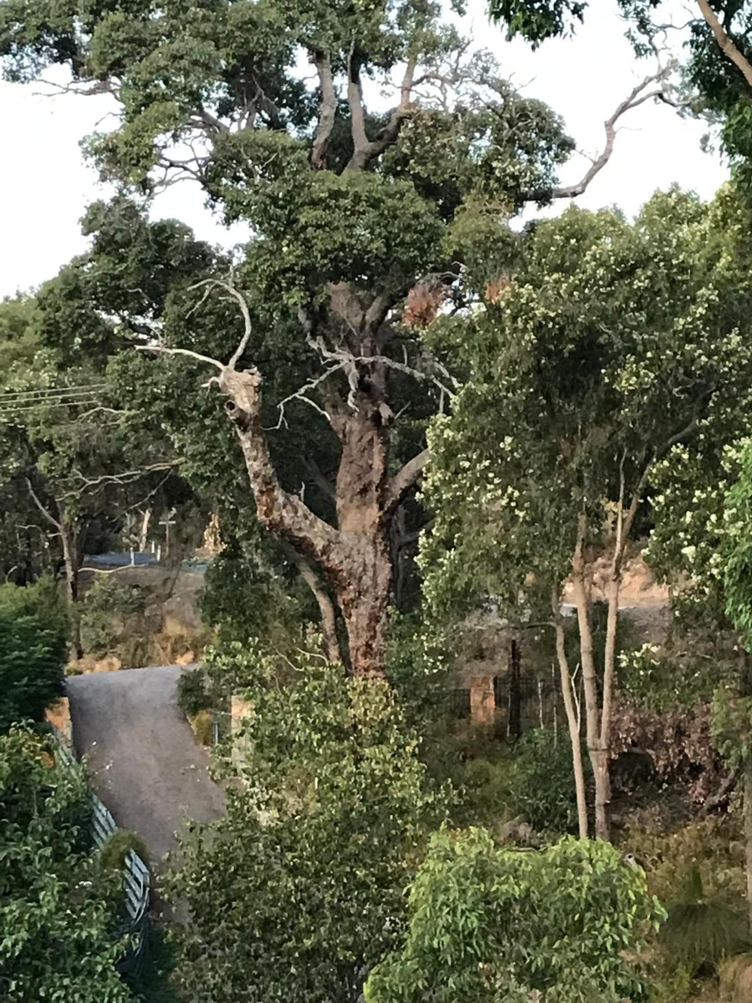 Robinson Retreat
