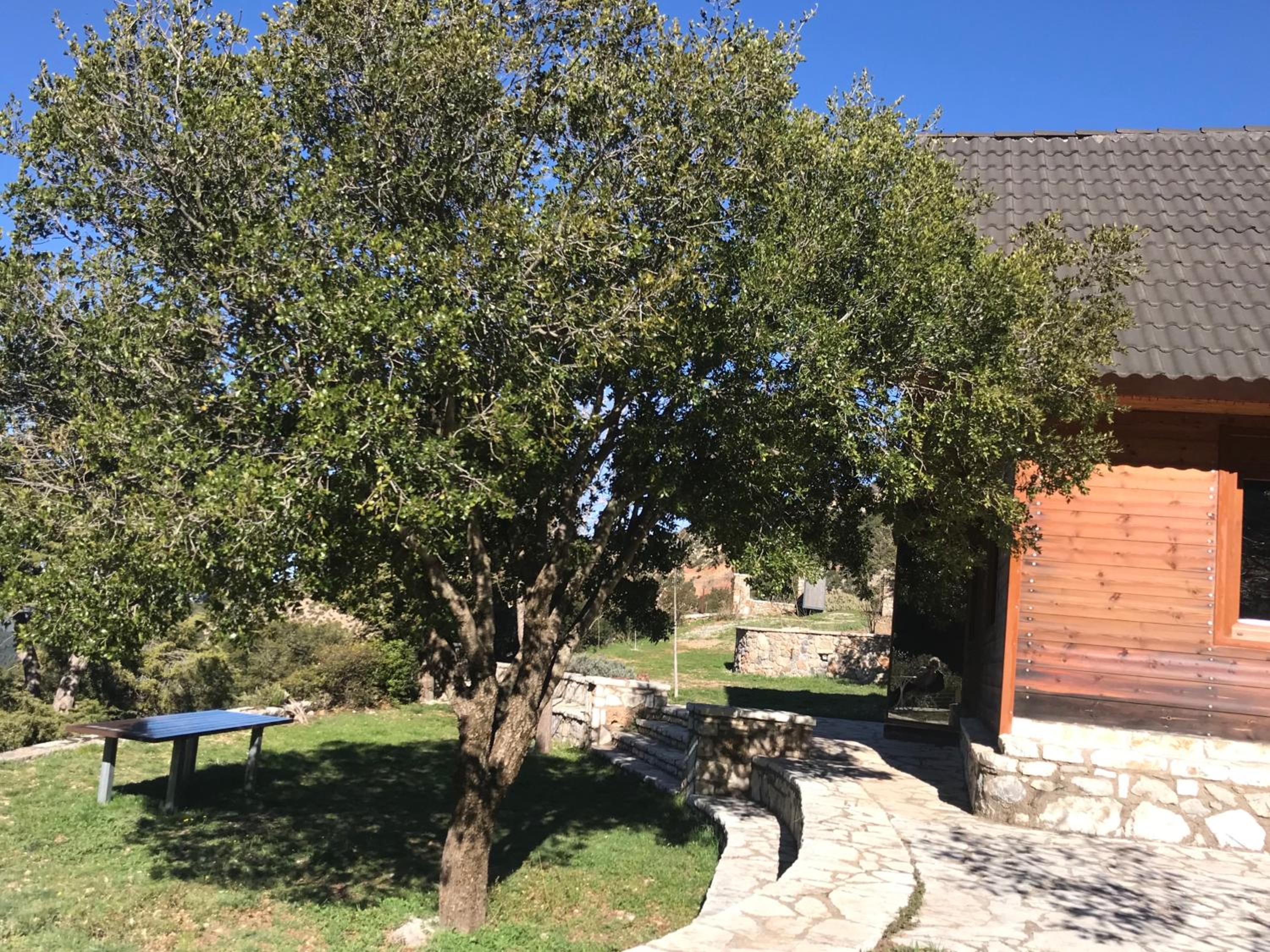 Photo 29