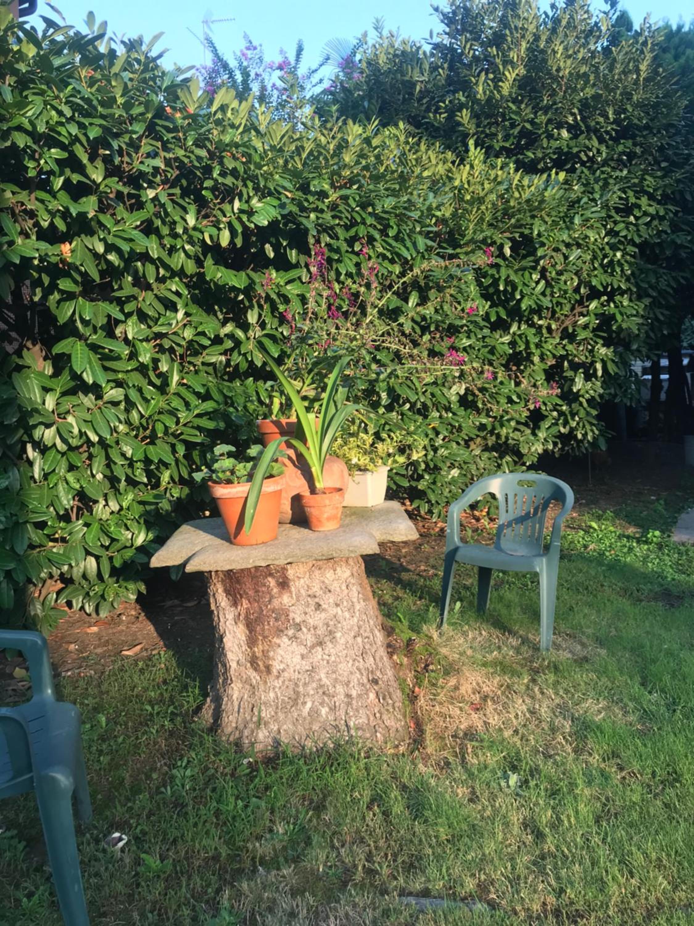 Appartamento per single in villa view 4