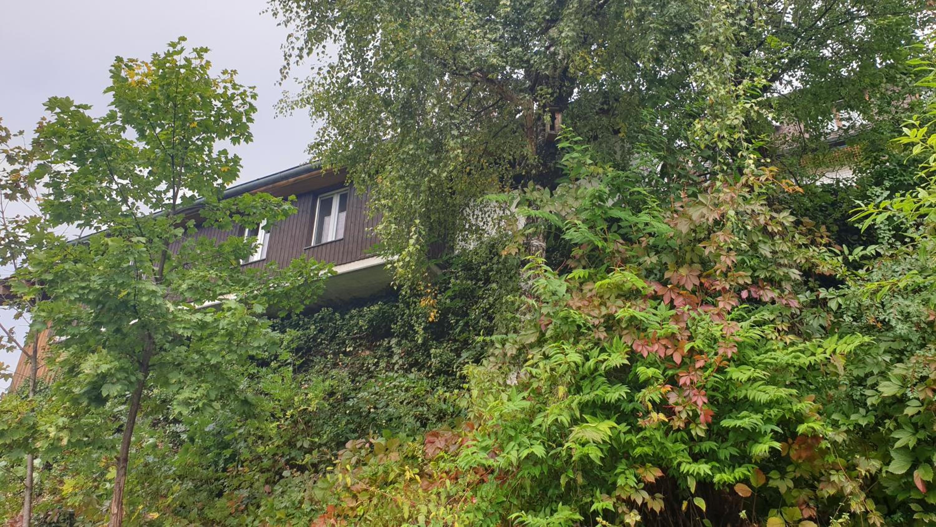 Ferienwohnung auf dem Bückle