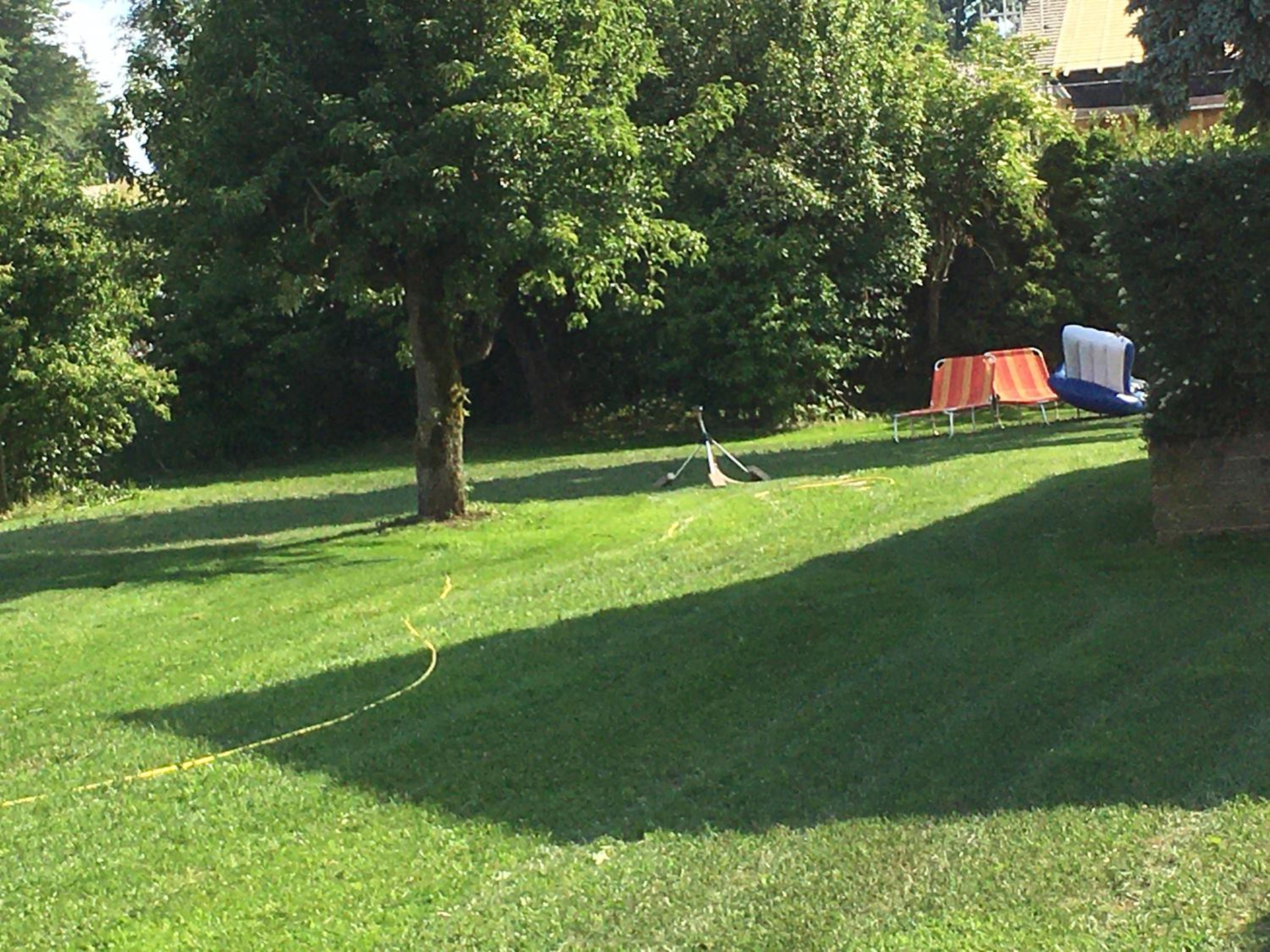 Pferd view 3