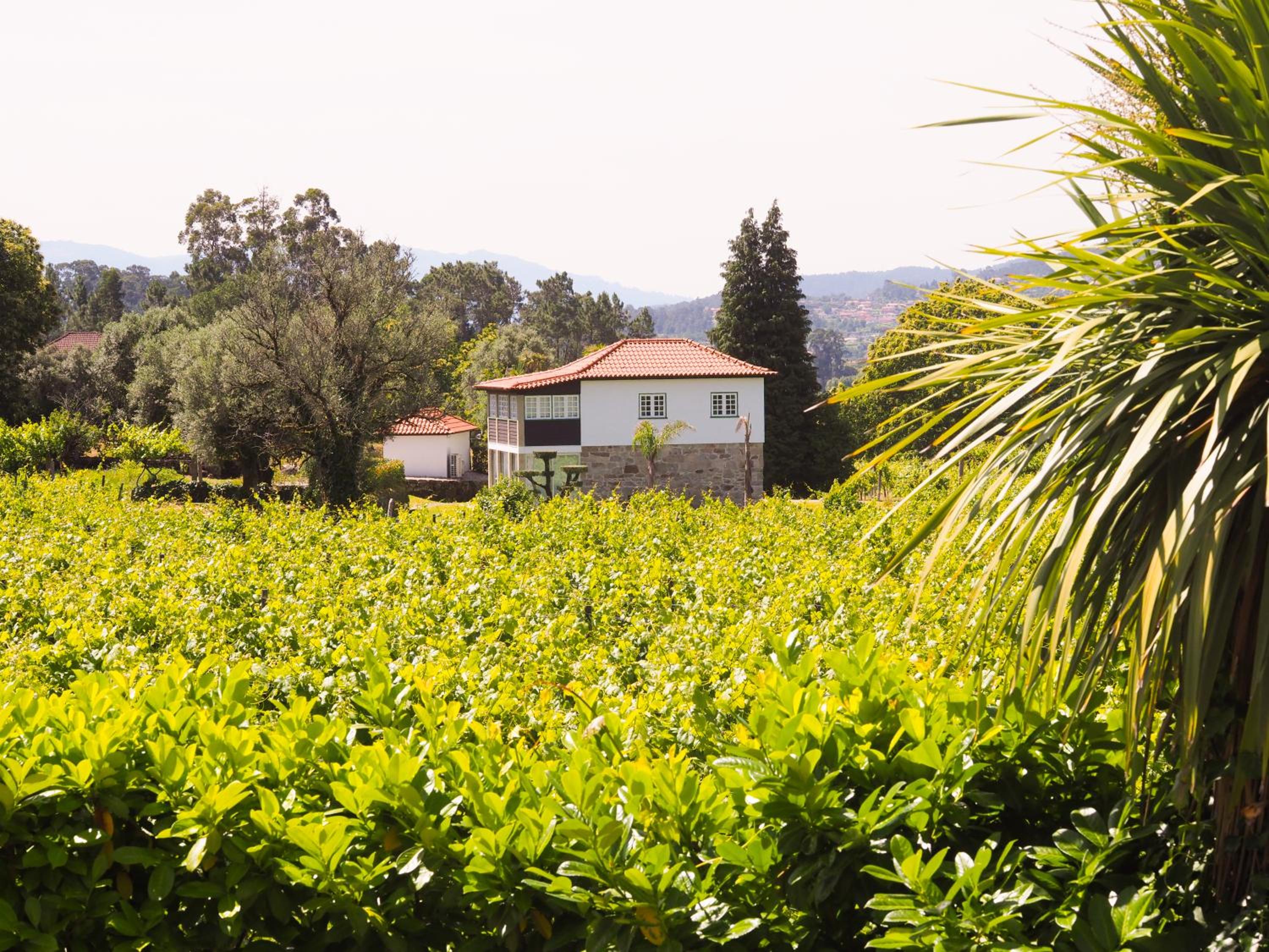 Casa da Vinha view 2
