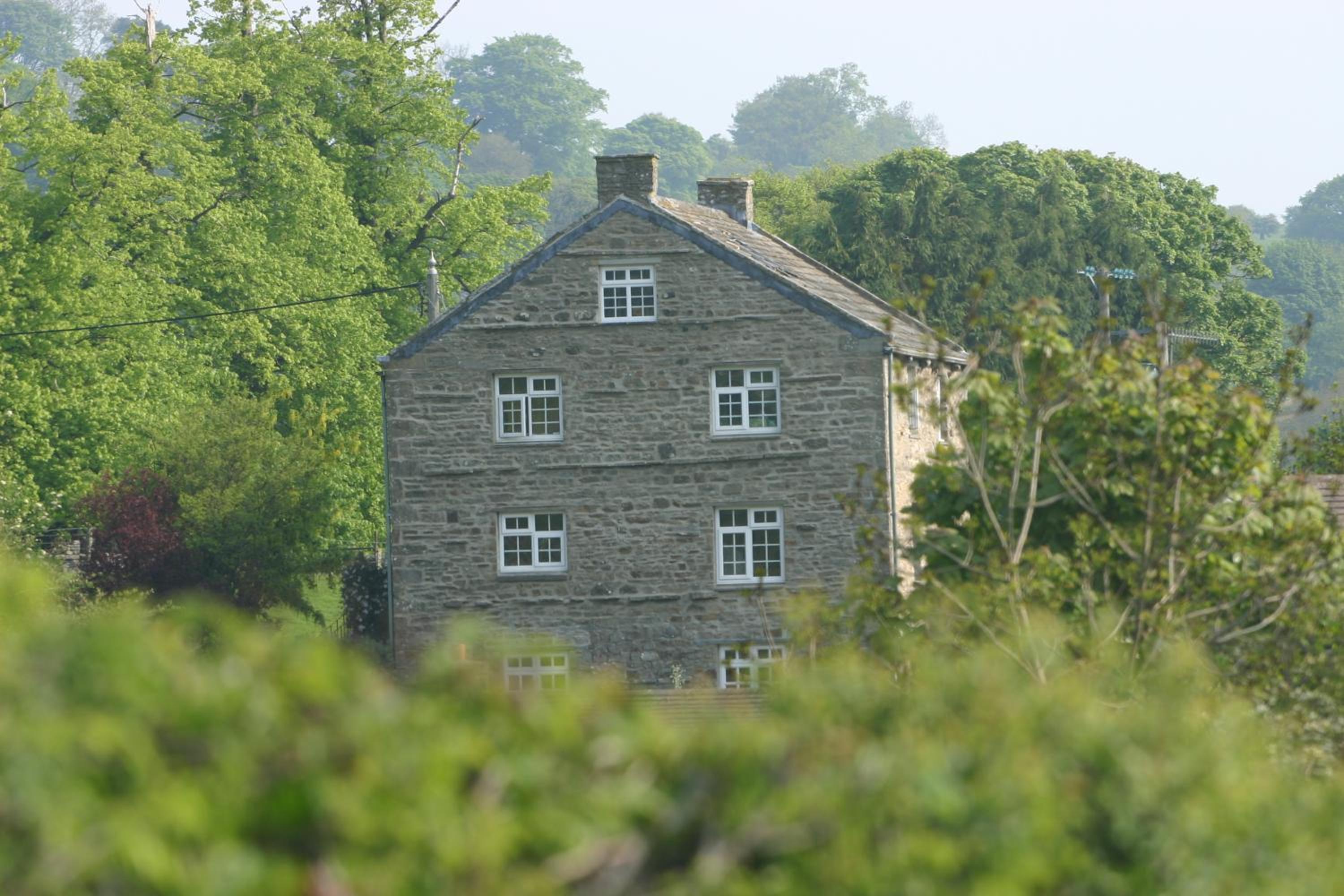 Photo 42