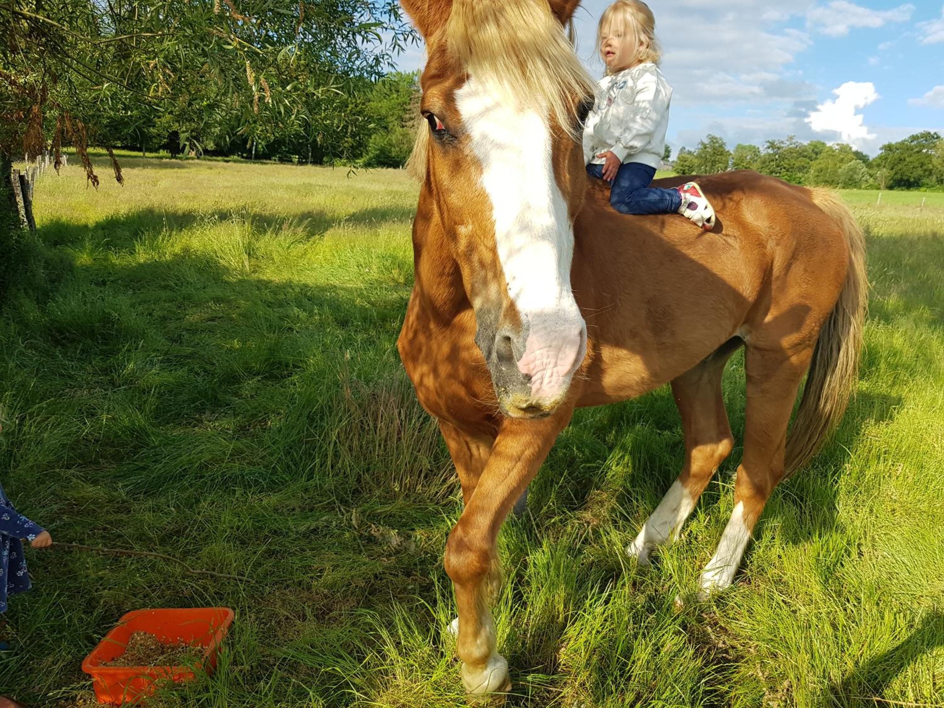Raidillon - gîte 5 chambres
