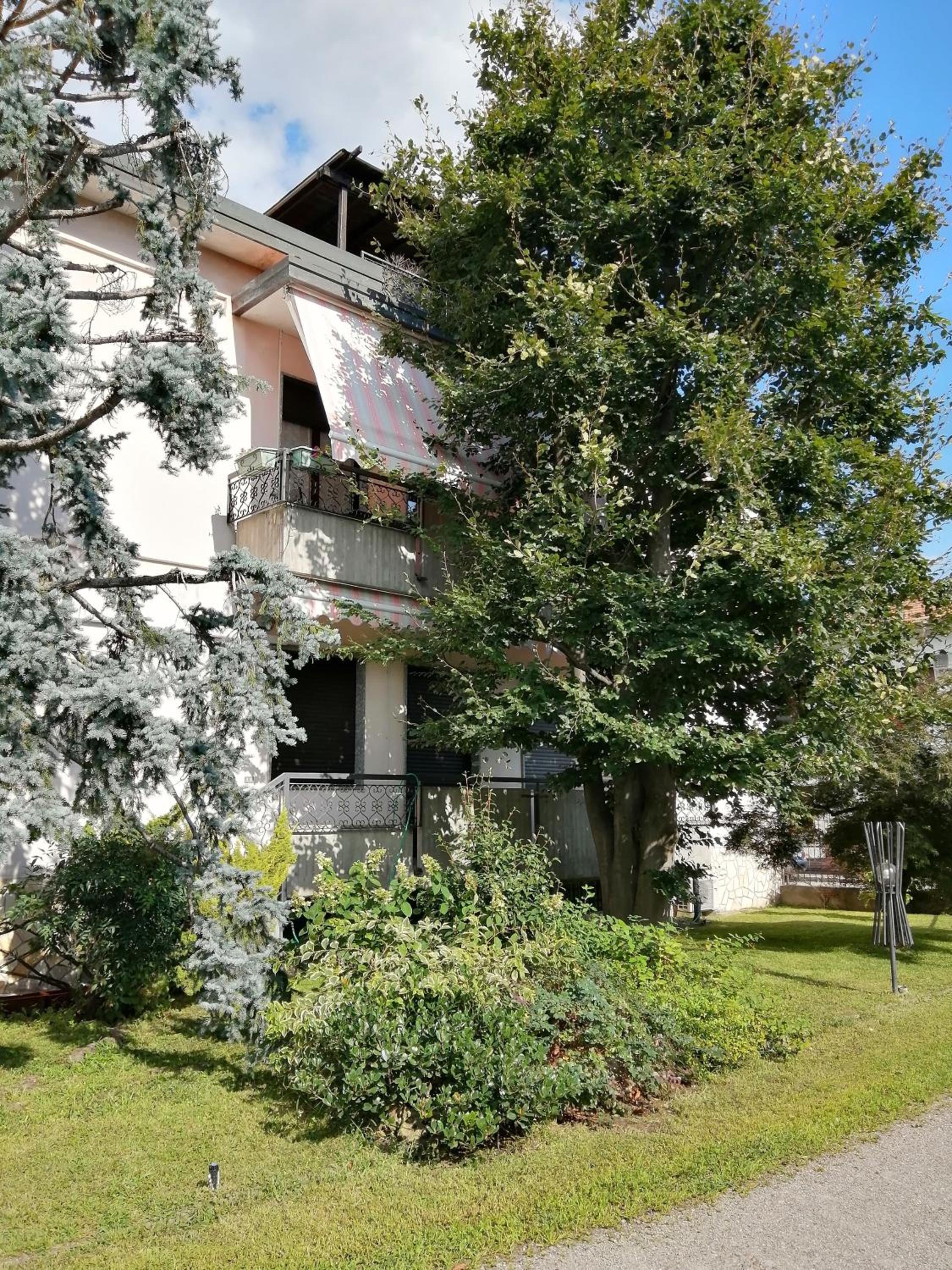 il nido della dani view 5