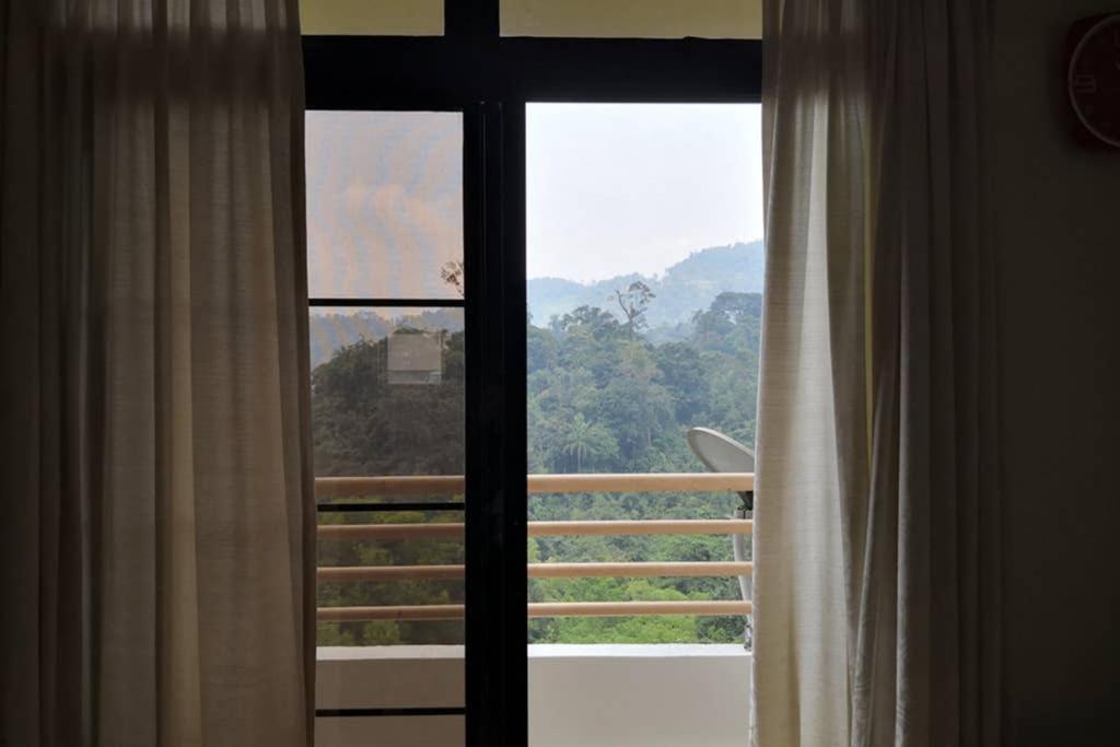 [DW LH] Kempas GVR de Wonderland Genting Highlands photo 6
