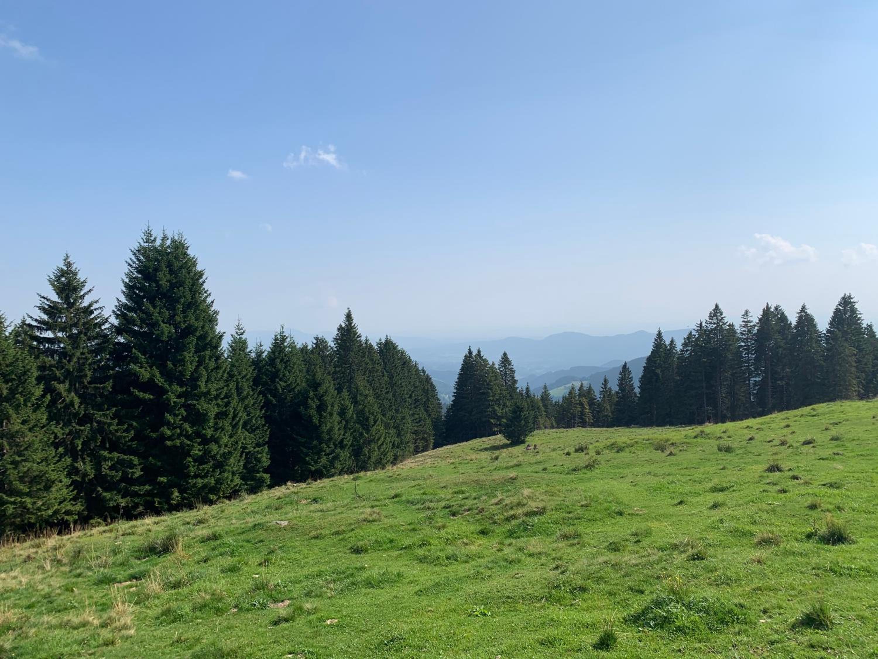 Apartma Ajdovka Rogla view 3
