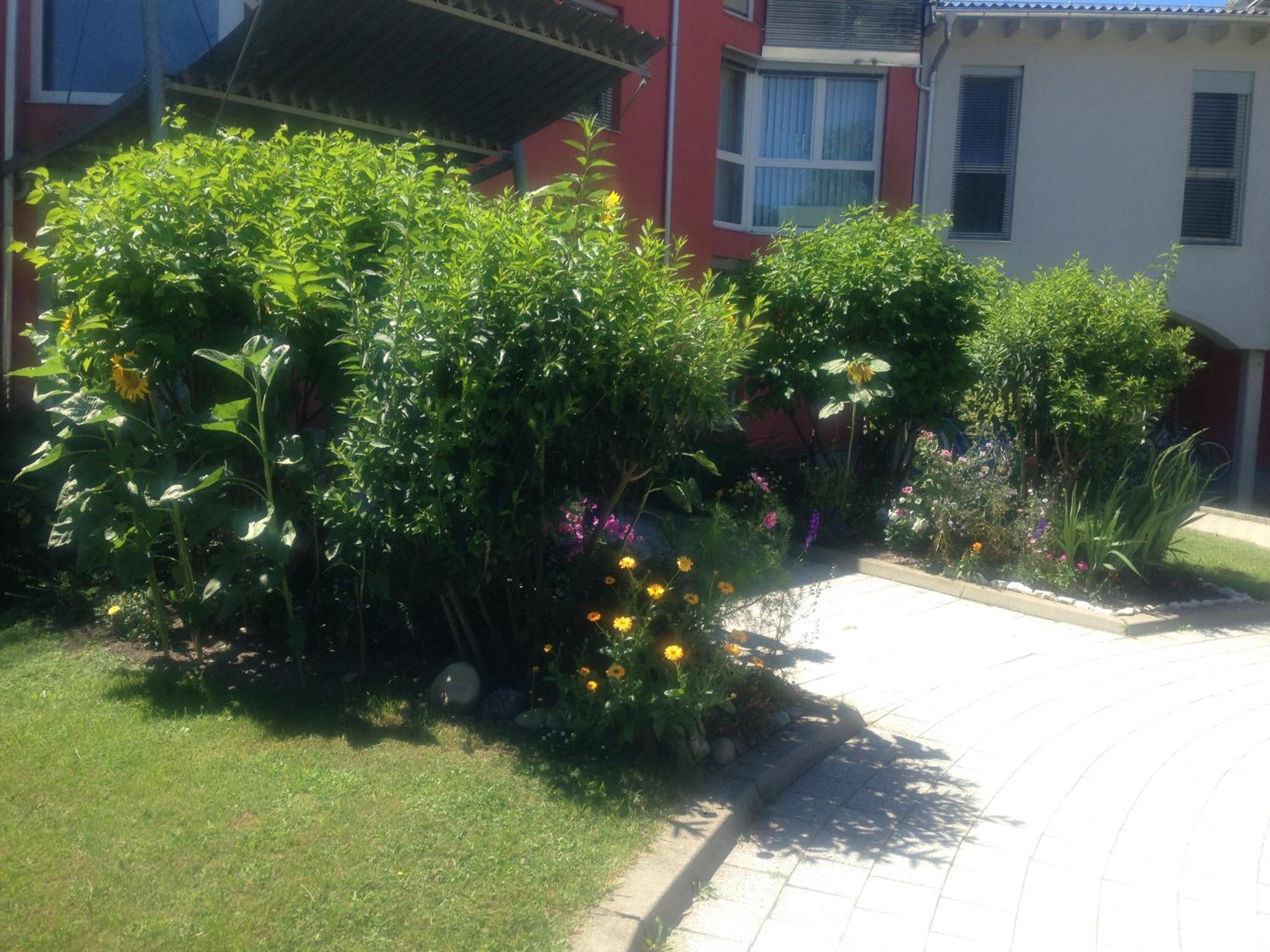 Photo 21