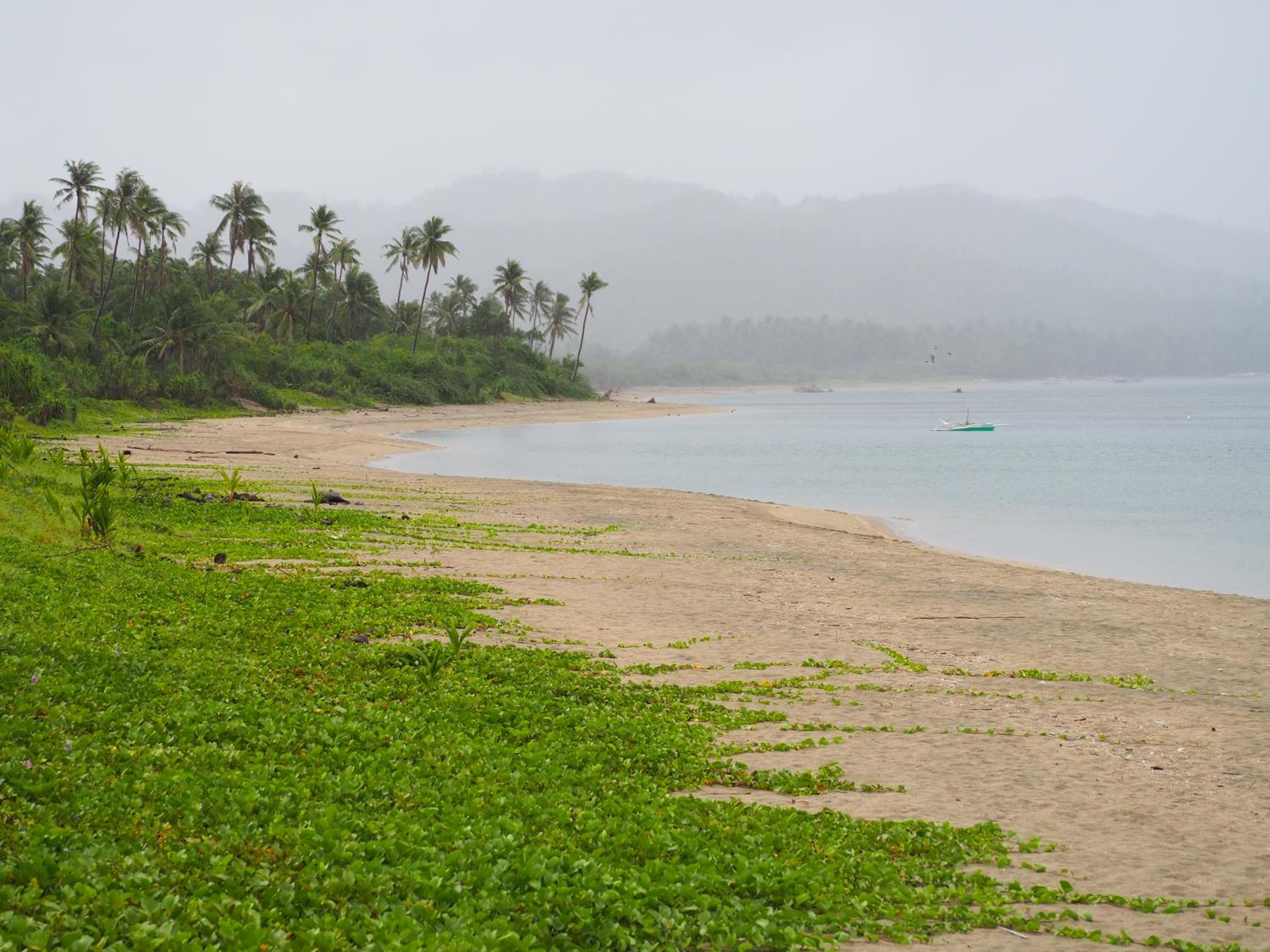 Footprints Beach Resort