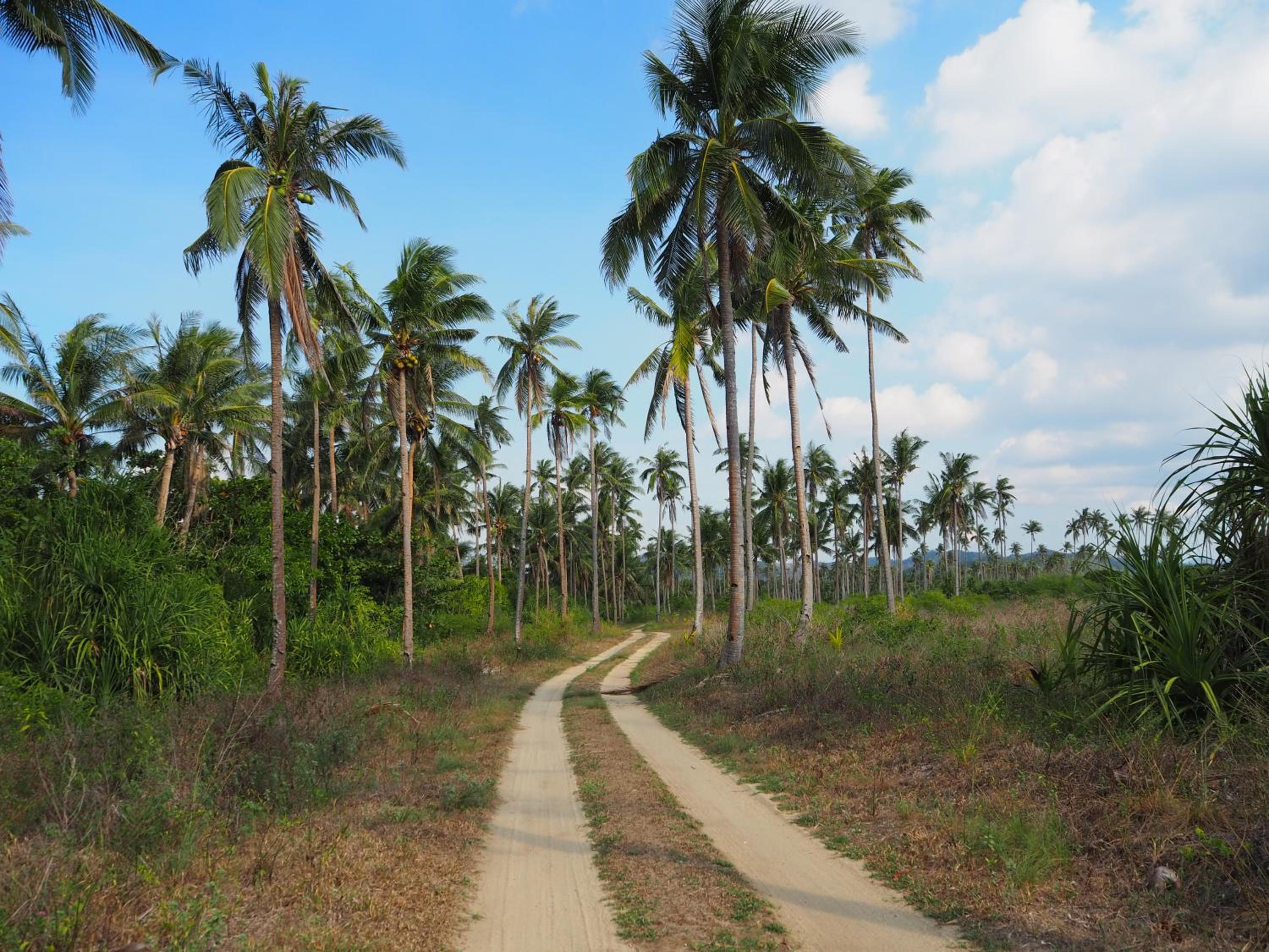Footprints Beach Resort