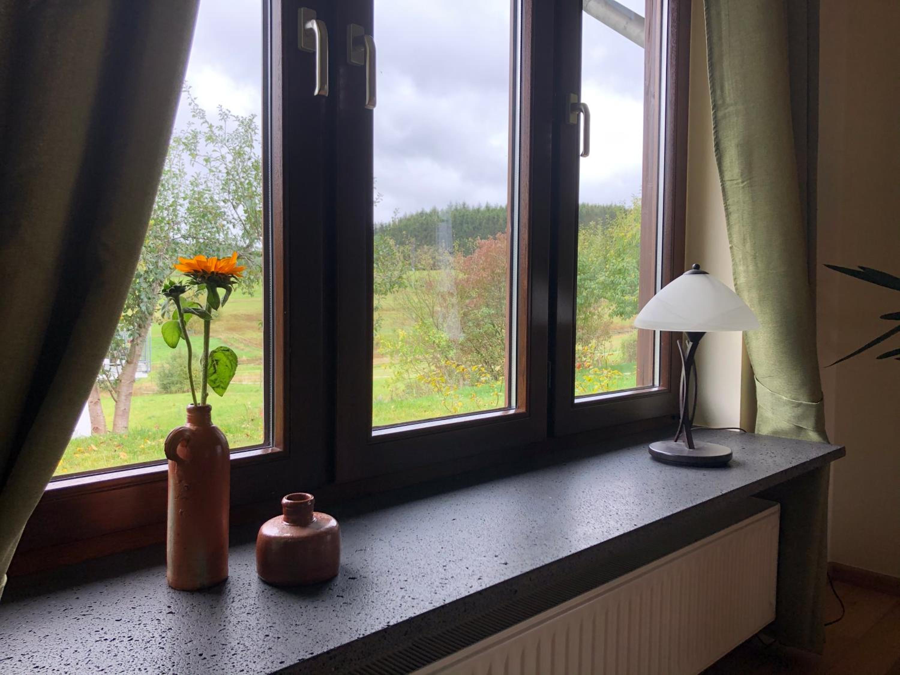 Waldhaus-Vulkaneifel view 5