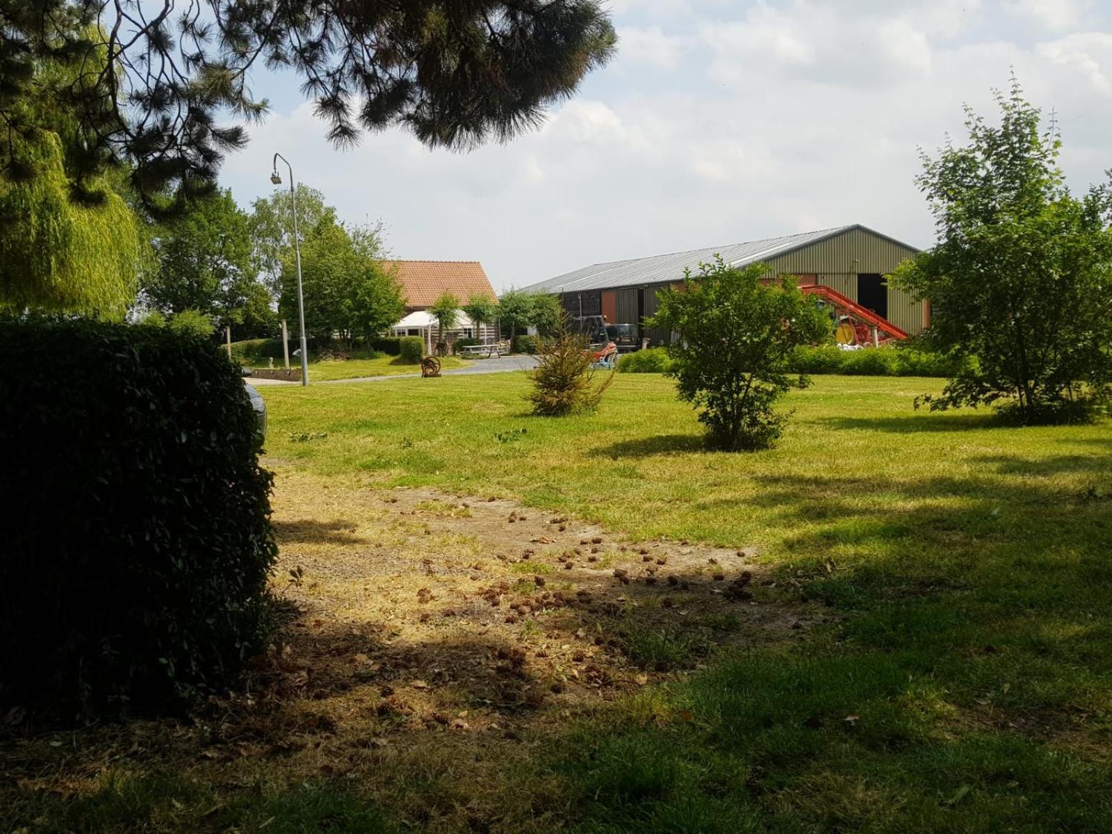 Photo 20