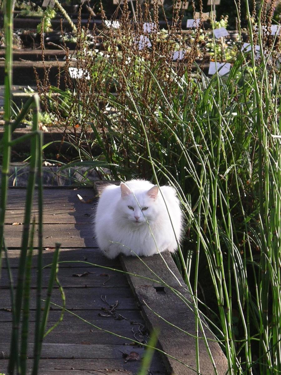 Gîtes du Jardin Francais