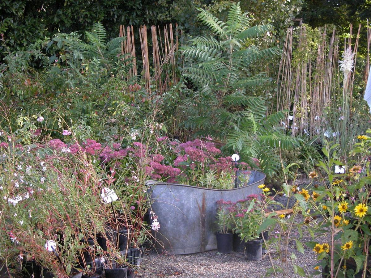 Gîtes du Jardin Francais