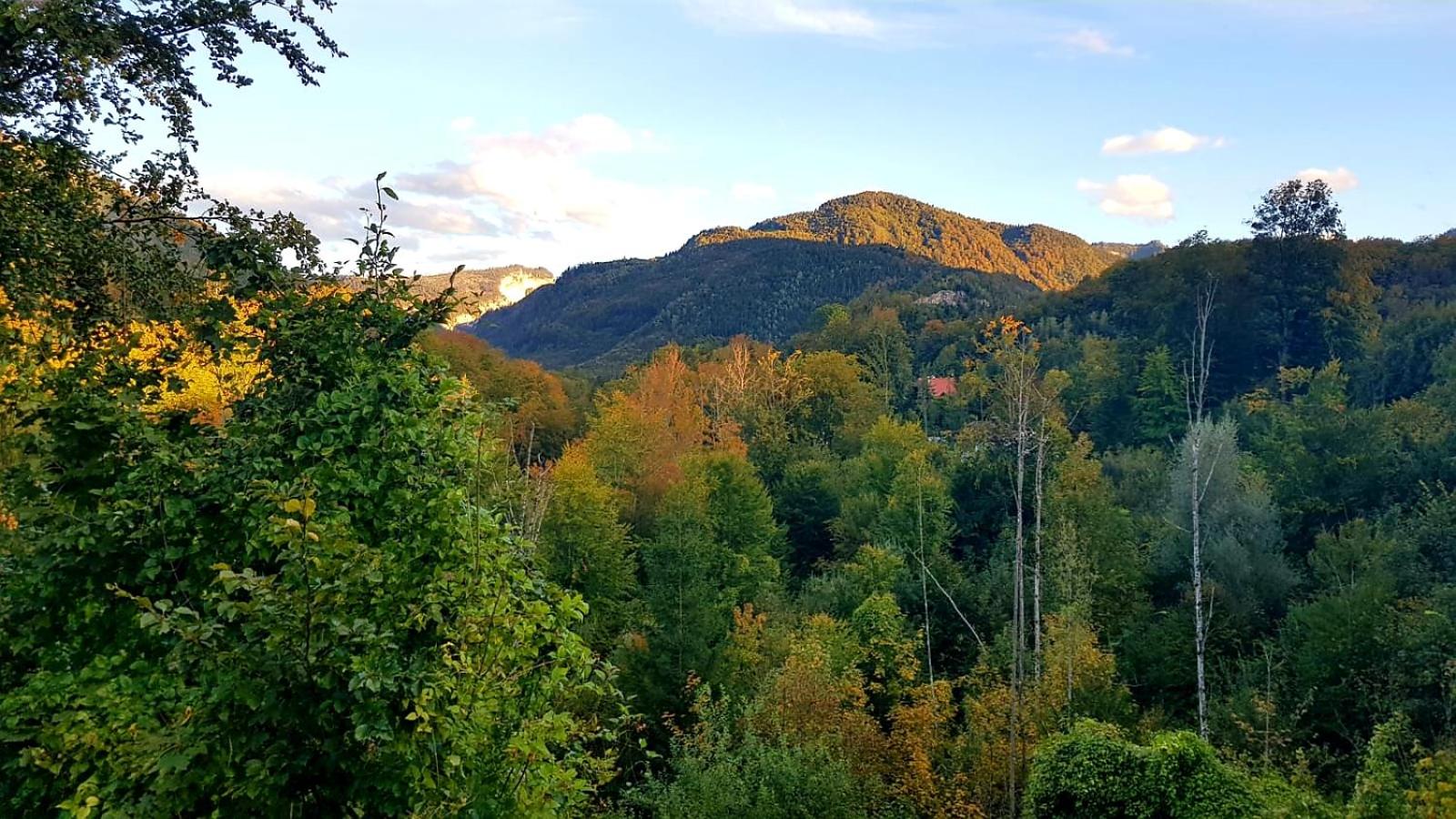CHILL&SLEEP Bad Ischl