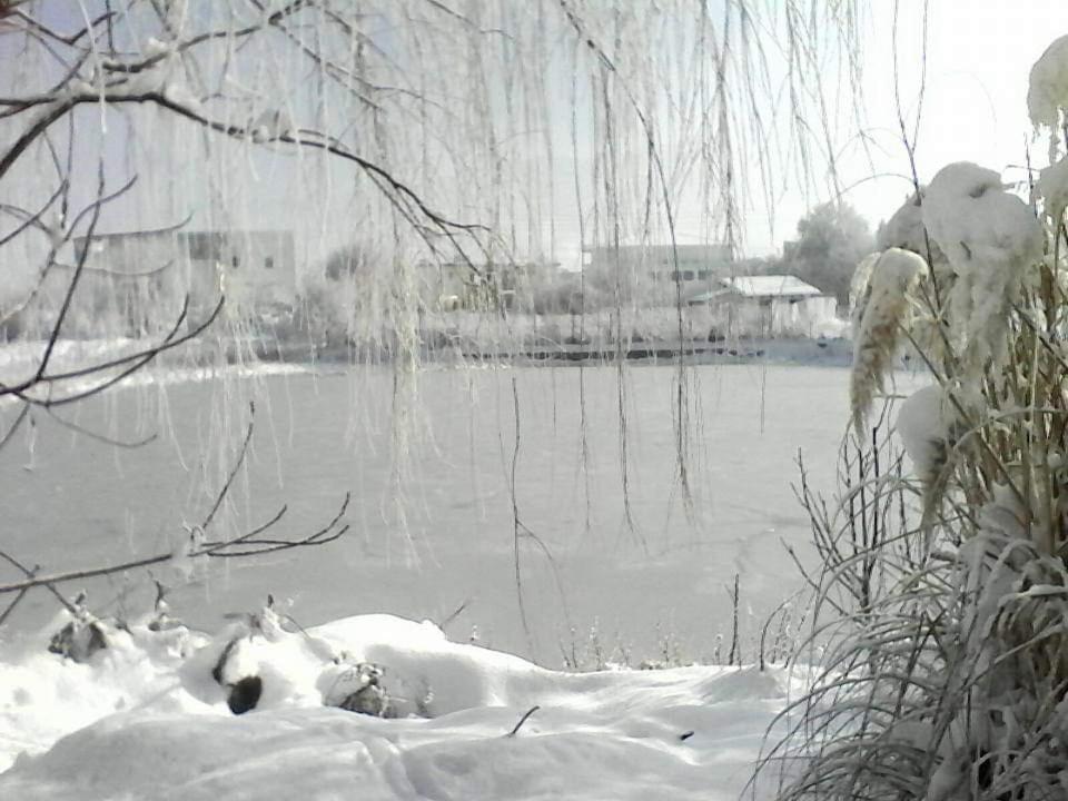 Photo 28